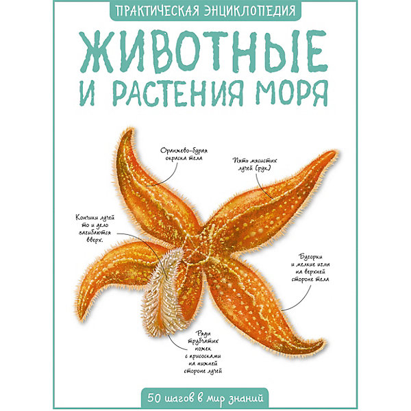 Энциклопедия Махаон "Животные и растения моря, Энциклопедия Махаон "Животные и растения моря"
Энциклопедия Махаон "Животные и растения моря, Энциклопедия Махаон "Животные и растения моря"