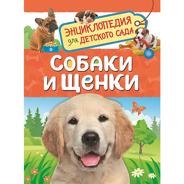 Энциклопедия для детского сада "Собаки и щенки, Энциклопедия для детского сада "Собаки и щенки"
Энциклопедия для детского сада "Собаки и щенки, Энциклопедия для детского сада "Собаки и щенки"
