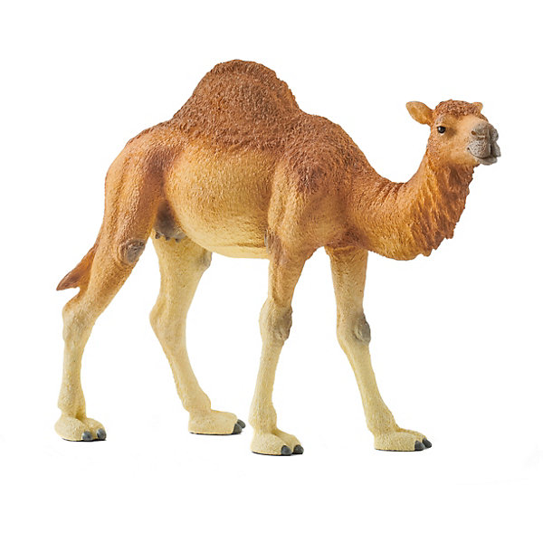 Фигурка Schleich "Одногорбый верблюд, Разноцветный, Фигурка Schleich "Одногорбый верблюд"
Фигурка Schleich "Одногорбый верблюд, Разноцветный, Фигурка Schleich "Одногорбый верблюд"