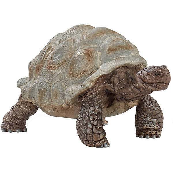 Фигурка Schleich "Гигиантская черепаха, Разноцветный, Фигурка Schleich "Гигиантская черепаха"
Фигурка Schleich "Гигиантская черепаха, Разноцветный, Фигурка Schleich "Гигиантская черепаха"