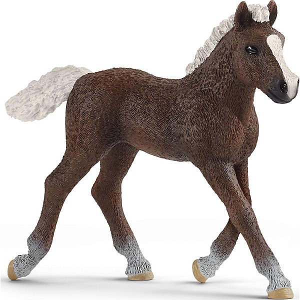 Фигурка Schleich "Шварцвальдский жеребенок, Разноцветный, Фигурка Schleich "Шварцвальдский жеребенок"
Фигурка Schleich "Шварцвальдский жеребенок, Разноцветный, Фигурка Schleich "Шварцвальдский жеребенок"