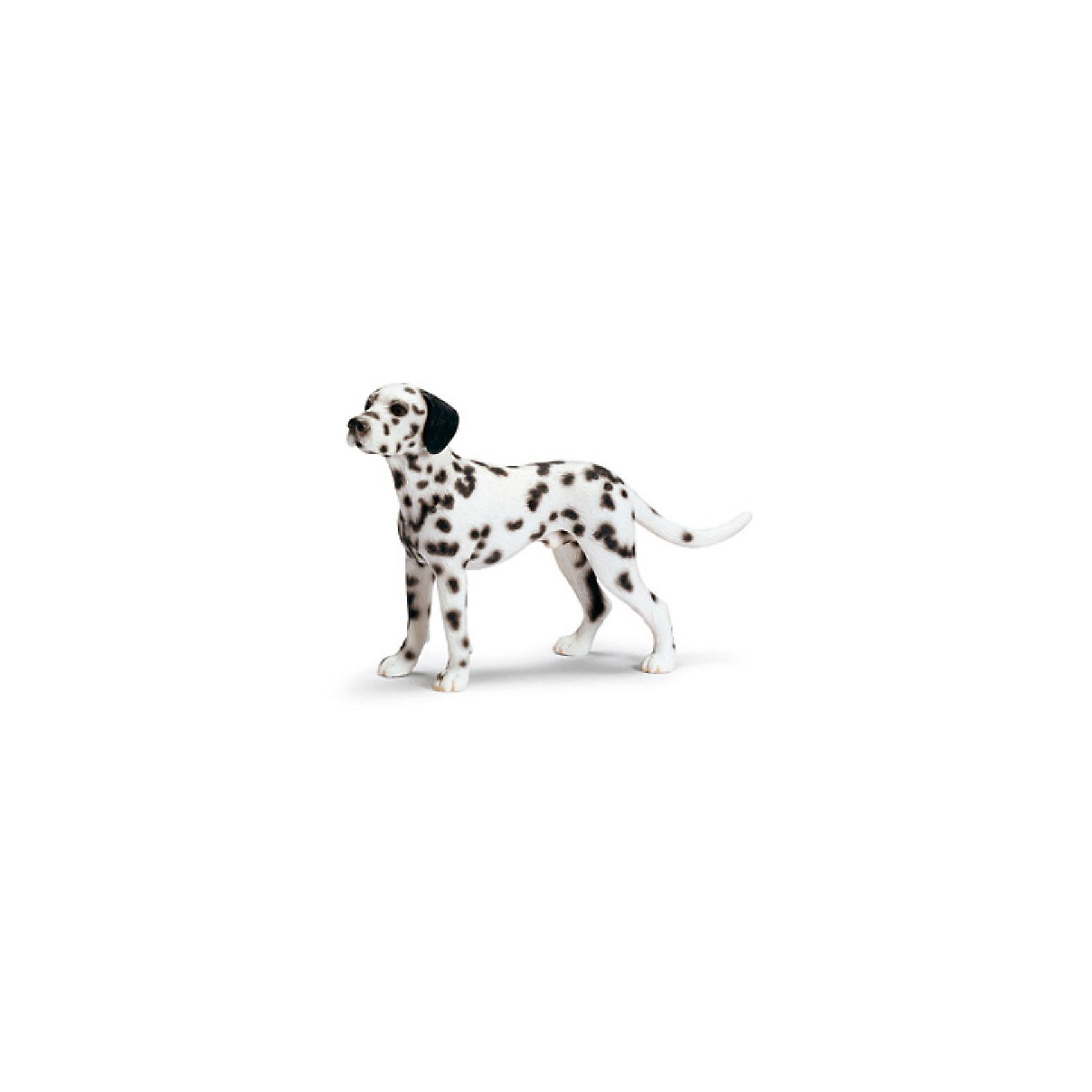 Schleich .       Schleich ()    . :  !<br><br>:<br><br>-  1:12<br>-    (xx): 103 x 70 x 33<br>-   <br><br> : 10<br> : 12<br> : 25<br> : 34<br>  : 36<br>  : 96<br>: <br>: <br>SKU: 1599931