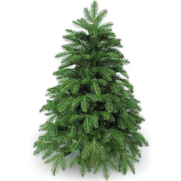 Ель искусственная Beatrees Anson, 0,9 м, Зеленый, Ель искусственная Beatrees Anson, 0,9 м
Ель искусственная Beatrees Anson, 0,9 м, Зеленый, Ель искусственная Beatrees Anson, 0,9 м