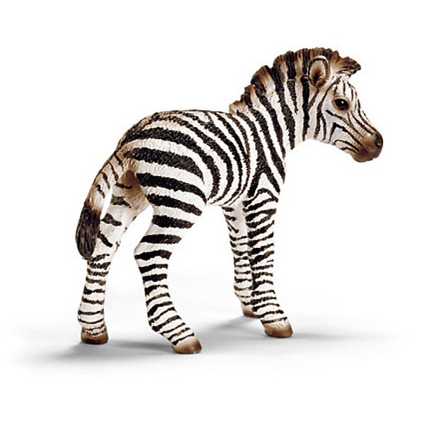 Schleich Детеныш зебры. Серия Дикие животные Schleich Детеныш зебры. Серия Дикие животныеМир животных<br>Schleich (Шляйх), детеныш зебры. Серия Дикие животные. <br><br>Характеристика:<br><br>• Материал: резина, пластик. <br>• Размер фигурки: 7,1х2,9х6,2 см. <br>• Фигурка прекрасно детализирована.<br>• Реалистично раскрашена вручную. <br><br>Очаровательный детеныш зебры очень похож на настоящую живую лошадь, отлично детализирован и реалистично раскрашен. Игрушки серии Дикие животные от немецкого бренда Schleich изготовлены из высококачественных экологичных материалов, с применением только безопасных, нетоксичных красителей. Собери всю коллекцию Schleich и познакомься поближе с такими удивительными дикими и домашними животными! <br><br>Schleich (Шляйх), детеныша зебры, серия Дикие животные, можно купить в нашем интернет-магазине.<br><br>Ширина мм: 102<br>Глубина мм: 86<br>Высота мм: 22<br>Вес г: 26<br>Возраст от месяцев: 36<br>Возраст до месяцев: 96<br>Пол: Унисекс<br>Возраст: Детский<br>SKU: 1821339