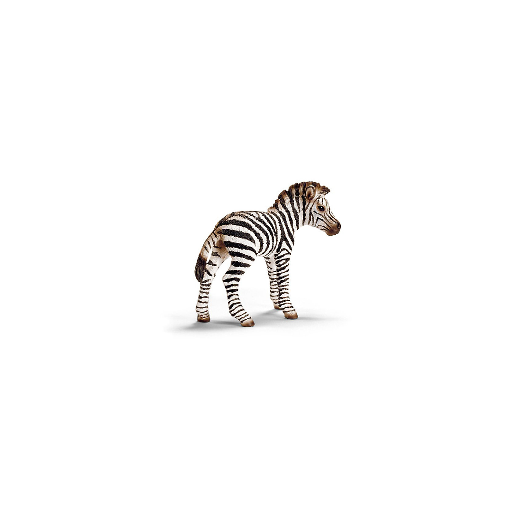 Schleich Детеныш зебры. Серия Дикие животные Schleich Детеныш зебры. Серия Дикие животныеМир животных<br>Schleich (Шляйх), детеныш зебры. Серия Дикие животные. <br><br>Характеристика:<br><br>• Материал: резина, пластик. <br>• Размер фигурки: 7,1х2,9х6,2 см. <br>• Фигурка прекрасно детализирована.<br>• Реалистично раскрашена вручную. <br><br>Очаровательный детеныш зебры очень похож на настоящую живую лошадь, отлично детализирован и реалистично раскрашен. Игрушки серии Дикие животные от немецкого бренда Schleich изготовлены из высококачественных экологичных материалов, с применением только безопасных, нетоксичных красителей. Собери всю коллекцию Schleich и познакомься поближе с такими удивительными дикими и домашними животными! <br><br>Schleich (Шляйх), детеныша зебры, серия Дикие животные, можно купить в нашем интернет-магазине.<br><br>Ширина мм: 102<br>Глубина мм: 86<br>Высота мм: 22<br>Вес г: 26<br>Возраст от месяцев: 36<br>Возраст до месяцев: 96<br>Пол: Унисекс<br>Возраст: Детский<br>SKU: 1821339
