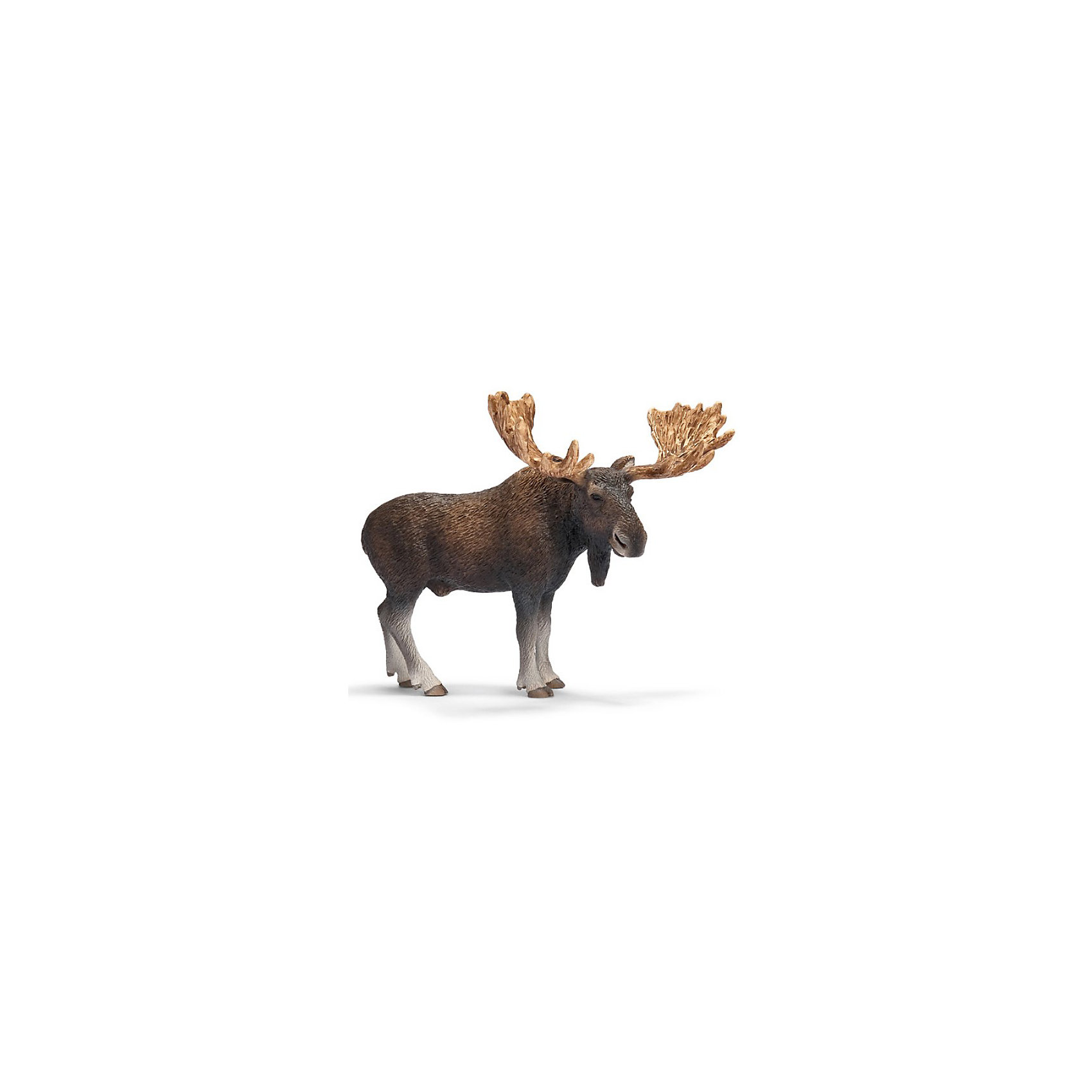 Schleich Schleich Лось, самец. Серия Дикие животные игровые фигурки schleich игровая фигурка самец морского единорога