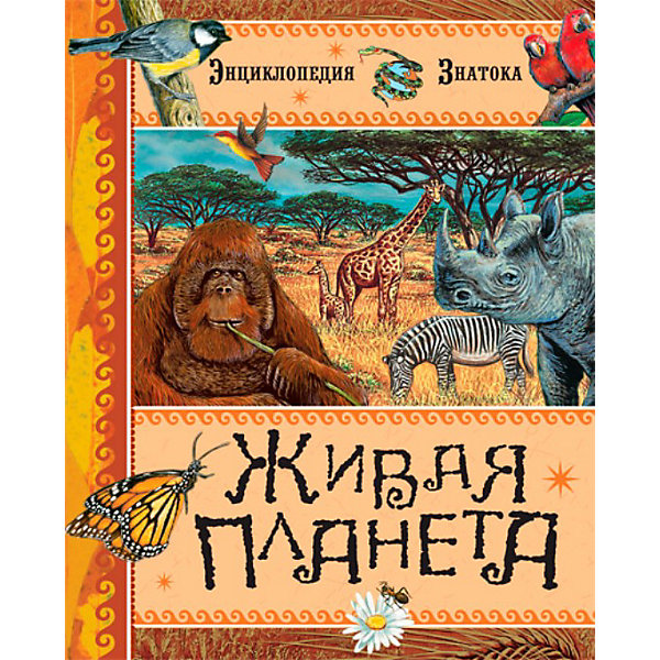 Энциклопедия Живая планета Энциклопедия Живая планетаДетские энциклопедии<br>Для чего улитке рожки?<br>Где живет рак-отшельник?<br>Кто может ходить по воде?<br>Могут ли рыбы забраться на деревья?<br>В энциклопедии Живая планета есть ответы на самые неожиданные вопросы. В книге много любопытных, а подчас и весьма забавных фактов из жизни наших старых знакомцев - лисицы и волка, пчелы и улитки. Вас ждет встреча с редкими обитателями нашей планеты - с губками и коралловыми полипами, с ящерами-панголинами и трубкозубами. Вы узнаете о том, какими хорошими родителями могут быть некоторые рыбы, почему раку-отшельнику необходимо часто менять квартиру, как василиску удается бегать по воде.<br><br>В этой книге много редких и интересных фактов, и даже о самых сложных вещах здесь рассказывается легко. Серия этих энциклопедий, написанных в формате вопросов и ответов, содержит подробные и увлекательные объяснения на тысячи разных что?, как? и почему?.<br>Страниц: 128<br>Формат: 185х225 мм<br>Переплет: Переплет<br><br>Ширина мм: 225<br>Глубина мм: 185<br>Высота мм: 12<br>Вес г: 373<br>Возраст от месяцев: 72<br>Возраст до месяцев: 96<br>Пол: Унисекс<br>Возраст: Детский<br>SKU: 2411730
