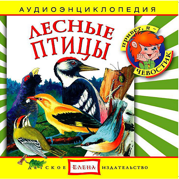 Аудиоэнциклопедия Лесные птицы, CD Аудиоэнциклопедия Лесные птицы, CDАудиокниги, DVD и CD<br>Характеристики:<br><br>• возраст: от 3 лет<br>• издательство: Детское издательство Елена<br>• серия: Аудиоэнциклопедия. Уроки дяди Кузи и Чевостика<br>• авторы: Наталья Манушкина, Елена Качур<br>• текст читают: Таисия Аведикова, Дмитрий Столбцов<br>• формат: Audio CD<br>• звук: стерео<br>• год издания: 2003<br>• количество дисков: 1<br>• время звучания: 57:30 мин.<br>• размер: 14,2х12,2х1 см.<br>• вес: 70 гр.<br>• ISBN: 4607162120315<br><br>Аудиоэнциклопедия в легкой и доступной форме расскажет маленьким слушателям о птицах наших лесов, об их привычках и повадках. Вместе с дядей Кузей и Чевостиком ребята познакомятся с голосами птиц, их внешним видом, привычками и особенностями.<br><br>Аудиоспектакль озвучивают профессиональные актёры, которым без труда удастся заинтересовать детей своим рассказом. Малыши услышат грамотную, выразительную, хорошо поставленную речь, это научит их правильно говорить. Программа оформлена замечательным музыкальным сопровождением и звуками живой природы: пение птиц, шелест их крыльев, шум ветра и листвы.<br><br>Аудиоэнциклопедию «Лесные птицы» можно купить в нашем интернет-магазине.<br><br>Ширина мм: 142<br>Глубина мм: 10<br>Высота мм: 125<br>Вес г: 79<br>Возраст от месяцев: 60<br>Возраст до месяцев: 144<br>Пол: Унисекс<br>Возраст: Детский<br>SKU: 2580845