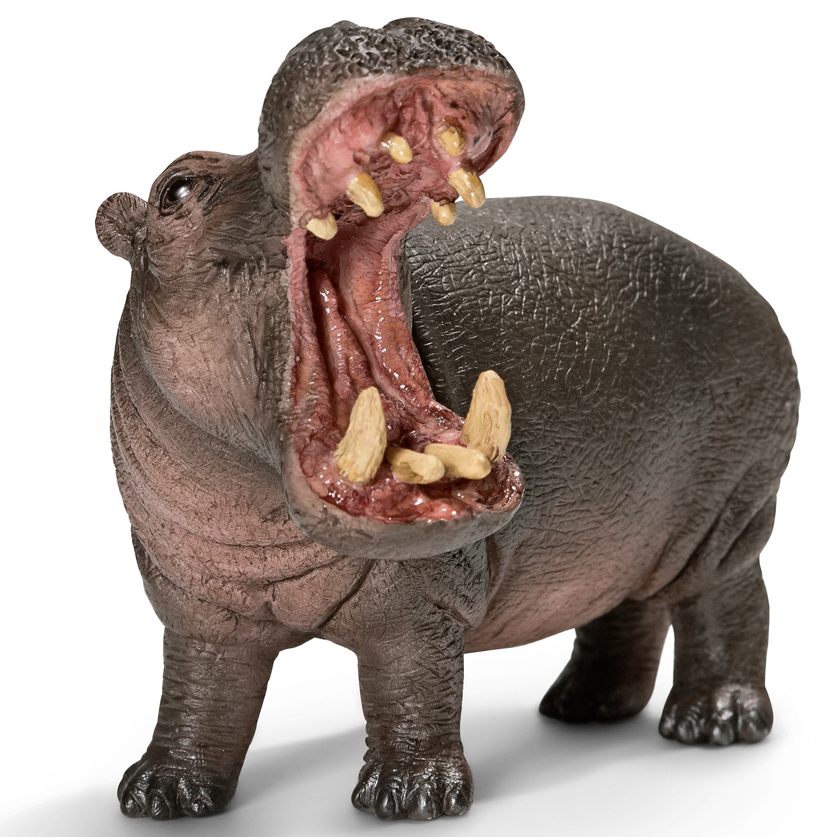 Schleich Гиппопотам. Серия Дикие животные Schleich Гиппопотам. Серия Дикие животныеМир животных<br>Schleich (Шляйх) Гиппопотам. Серия Дикие животные (бегемот)-млекопитающее из отряда парнокопытных. Единственный в своем роде вид. Практически все время он проводит в пресных водоемах. И только в темное время суток на несколько часов выходит на сушу для кормежки. Вес взрослого бегемота может составлять 4 тонны, что делает его 2-м самым большим наземным животным после африканского слона.<br><br>Дополнительная информация:<br><br>-размеры (ДхШхВ): 6х7х10,5 см<br>-фигурка изготовлена из безопасного пластика и раскрашена вручную<br><br>Соберите всю коллекцию животных из серии Дикие животные и играйте вместе с ребенком!<br><br>Игрушку Schleich (Шляйх) Гиппопотам. Серия Дикие животные можно купить в нашем магазине.<br><br>Ширина мм: 115<br>Глубина мм: 71<br>Высота мм: 48<br>Вес г: 121<br>Возраст от месяцев: 36<br>Возраст до месяцев: 96<br>Пол: Унисекс<br>Возраст: Детский<br>SKU: 2609257