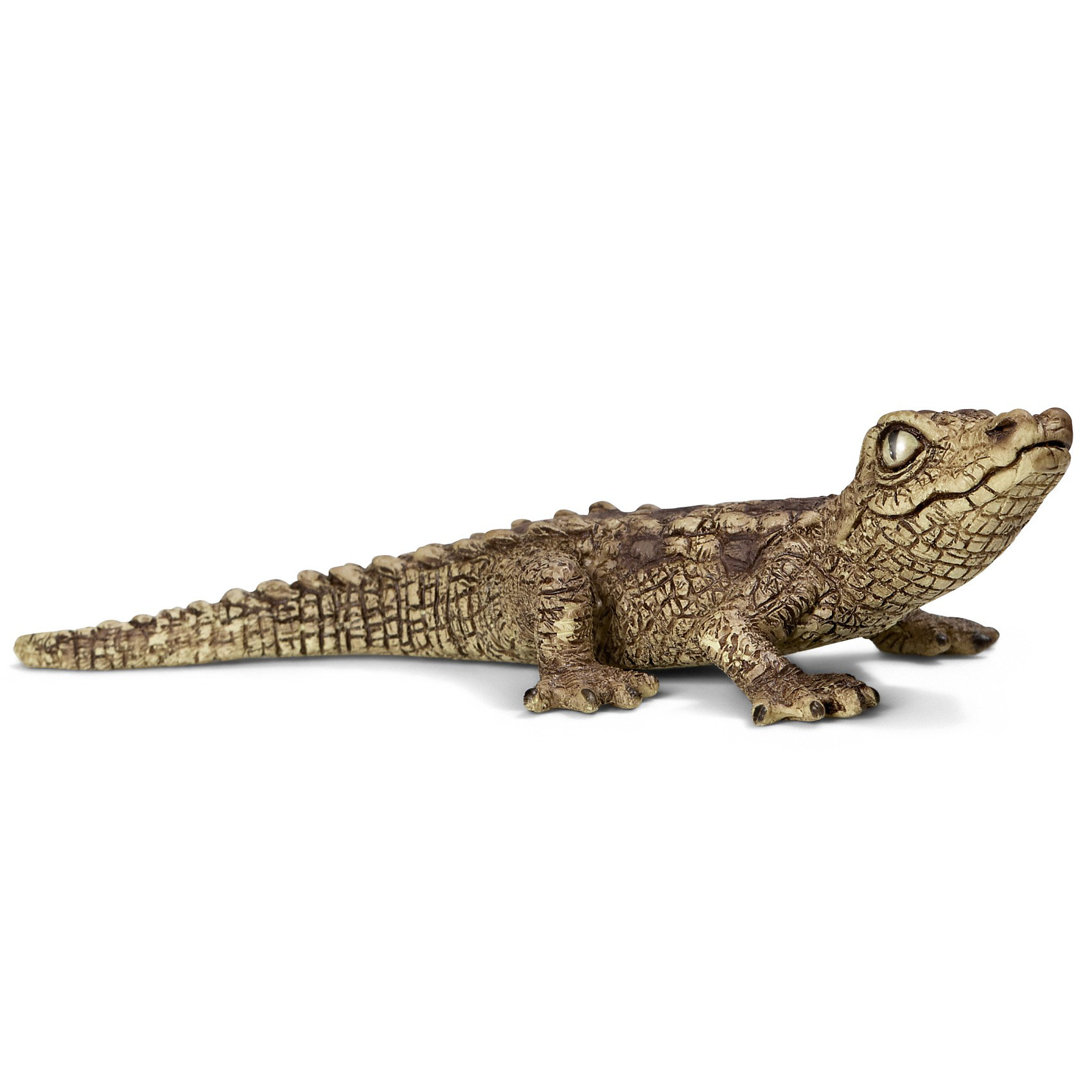 Schleich Крокодил, детеныш. Серия Дикие животные Schleich Крокодил, детеныш. Серия Дикие животныеМир животных<br>Schleich (Шляйх) Крокодил, детеныш. Серия Дикие животные. Крокодилы являются крупнейшими рептилиями, обитающими в болотах, в которых они подстерегают свою добычу. Мощный хвост крокодила помогает ему легко двигаться как по суше, так и в воде. Интересно, что крокодил может жить до 100 лет.<br><br>Дополнительная информация:<br><br>-размеры (ДхШхВ): 2,7х5,3х13 см<br>-изготовлено из безопасного пластика<br><br>Фигурка из серии Дикие животные - это отличный подарок ребенку, который позволит рассказать и наглядно продемонстрировать разнообразие животного мира.<br><br>Игрушку Schleich (Шляйх) Крокодил, детеныш. Серия Дикие животные можно купить в нашем магазине.<br><br>Ширина мм: 61<br>Глубина мм: 50<br>Высота мм: 20<br>Вес г: 5<br>Возраст от месяцев: 36<br>Возраст до месяцев: 96<br>Пол: Унисекс<br>Возраст: Детский<br>SKU: 2609259