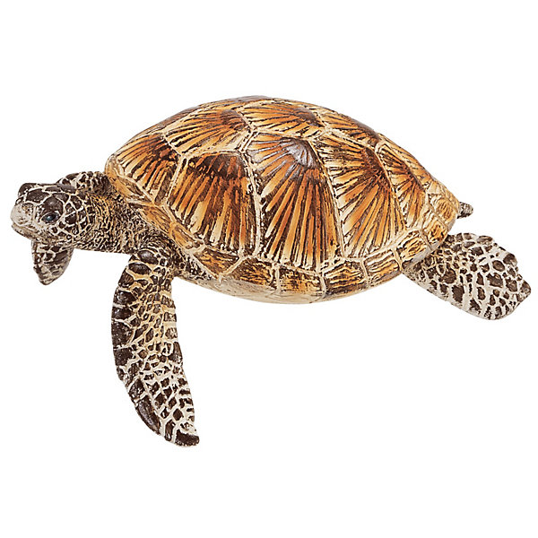 Морская черепаха, Schleich Морская черепаха, SchleichМир животных<br>Морская черепаха прекрасно адаптирована для жизни в воде. У нее обтекаемое туловище и лапы в виде ласт, что позволяет черепахе довольно быстро плавать. Ее движения под водой напоминают полет птицы в небе. Интересно, что морская черепаха не может спрятать свою большую голову в панцирь. <br>За исключением того времени, когда они откладывают яйца, черепахи проводят всю свою жизнь в тропических и субтропических водах, где они охотятся на головоногих, крабов и медуз.<br><br>Дополнительная информация:<br><br>- Размер: 5.5 ? 8 ? 3.5 см<br>- Материал: каучуковый пластик<br><br>Фигурку Морской черепахи, Schleich (Шляйх) можно купить в нашем магазине.<br><br>Ширина мм: 94<br>Глубина мм: 63<br>Высота мм: 35<br>Вес г: 24<br>Возраст от месяцев: 36<br>Возраст до месяцев: 96<br>Пол: Унисекс<br>Возраст: Детский<br>SKU: 3164139