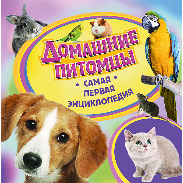 Самая первая энциклопедия Домашние питомцы Самая первая энциклопедия Домашние питомцыЭнциклопедии<br>Самая первая энциклопедия Домашние питомцы, Rosman<br>Эта великолепная серия познавательных книг для самых юных читателей дает ответы на множество вопросов об окружающем нас мире, которые так любят задавать дети. Самая первая энциклопедия - замечательный подарок и полезное пособие для занятий с детьми. Доступное изложение, яркие иллюстрации, занимательные рассказы, интересные факты. Познавайте мир с Самой первой энциклопедией!<br><br>Дополнительная информация: <br><br>Серия: Самая первая энциклопедия<br>Формат: 228х228х8 мм. Переплет: твердый. Объем: 36 стр.<br>Станет прекрасным подарком любознательным малышам!<br>Легко приобрести в нашем интернет-магазине.<br><br>Ширина мм: 228<br>Глубина мм: 228<br>Высота мм: 8<br>Вес г: 300<br>Возраст от месяцев: 36<br>Возраст до месяцев: 72<br>Пол: Унисекс<br>Возраст: Детский<br>SKU: 3335605