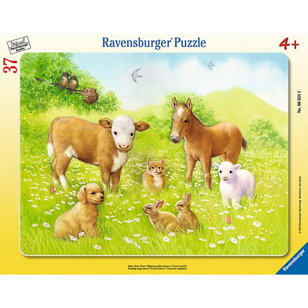 Пазл «На лугу», 37 деталей, Ravensburger Пазл «На лугу», 37 деталей, RavensburgerПазлы для малышей<br>Пазл На лугу к способствует развитию памяти, моторики рук, усидчивости и сообразительности ребёнка. Собирать картинку будет не только интересно, но и познавательно. На ней изображены различные животные и ребёнок запомнит название каждого. Воссоздать изображение будет легко, ведь все детали изготовлены из прочного материала, который не будет расклеиваться при использовании. Также изделие безопасно для ребёнка, так как изготовлено из экологического сырья. Собранная картинка не будет тускнеть и сможет радовать вашего ребёнка еще долгое время.<br><br> В товар входит:<br>-37 деталей<br><br>Дополнительная информация:<br>-Размер картинки – 32,5*24,5 см <br>-Размер упаковки – 38*30 см<br>-Возраст: от 3 лет<br>-Для мальчиков и девочек<br>-Состав: картон, бумага<br>-Бренд: Ravensburger (Равенсбургер)<br>-Страна обладатель бренда: Германия<br><br>Ширина мм: 377<br>Глубина мм: 294<br>Высота мм: 8<br>Вес г: 306<br>Возраст от месяцев: 48<br>Возраст до месяцев: 72<br>Пол: Женский<br>Возраст: Детский<br>Количество деталей: 37<br>SKU: 3412895