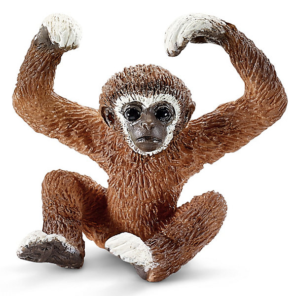 Детеныш Гиббона, Schleich Детеныш Гиббона, SchleichМир животных<br>Детеныш Гиббона, Schleich (Шляйх) - коллекционная и игровая фигурка от немецкого производителя Schleich (Шляйх).<br>Фигурка детеныша гиббона светло - коричневого цвета с черной мордочкой разнообразит игру с фигурками животных вашего ребенка и станет прекрасным пополнением его коллекции фигурок от Schleich (Шляйх). Гиббоны – это древесные обезьяны, обитающие в джунглях Юго-Восточной Азии. Благодаря длинным рукам и пальцам, они могут быстро перемещаться по деревьям с ветки на ветку и питаться листьями. Все фигурки Schleich (Шляйх) сделаны из гипоаллергенных высокотехнологичных материалов, раскрашены вручную и не вызывают аллергии у ребенка. Прекрасно выполненные фигурки Schleich (Шляйх) отличаются высочайшим качеством игрушек ручной работы. Все они создаются при постоянном сотрудничестве с Берлинским зоопарком, а потому, являются максимально точной копией настоящих животных. Каждая фигурка разработана с учетом исследований в области педагогики и производится как настоящее произведение для маленьких детских ручек.<br><br>Дополнительная информация:<br><br>-Размер фигурки: 3 x 3,6 x 3,6 см.<br>-Вес фигурки: 9 грамм<br>-Материал: каучуковый пластик<br><br>Детеныш Гиббона, Schleich (Шляйх) - ваш ребенок будет наслаждаться игрой с новой восхитительной игрушкой.<br><br>Фигурку Детеныша Гиббона, Schleich (Шляйх) можно купить в нашем интернет-магазине.<br><br>Ширина мм: 46<br>Глубина мм: 51<br>Высота мм: 19<br>Вес г: 7<br>Возраст от месяцев: 36<br>Возраст до месяцев: 96<br>Пол: Унисекс<br>Возраст: Детский<br>SKU: 3443145