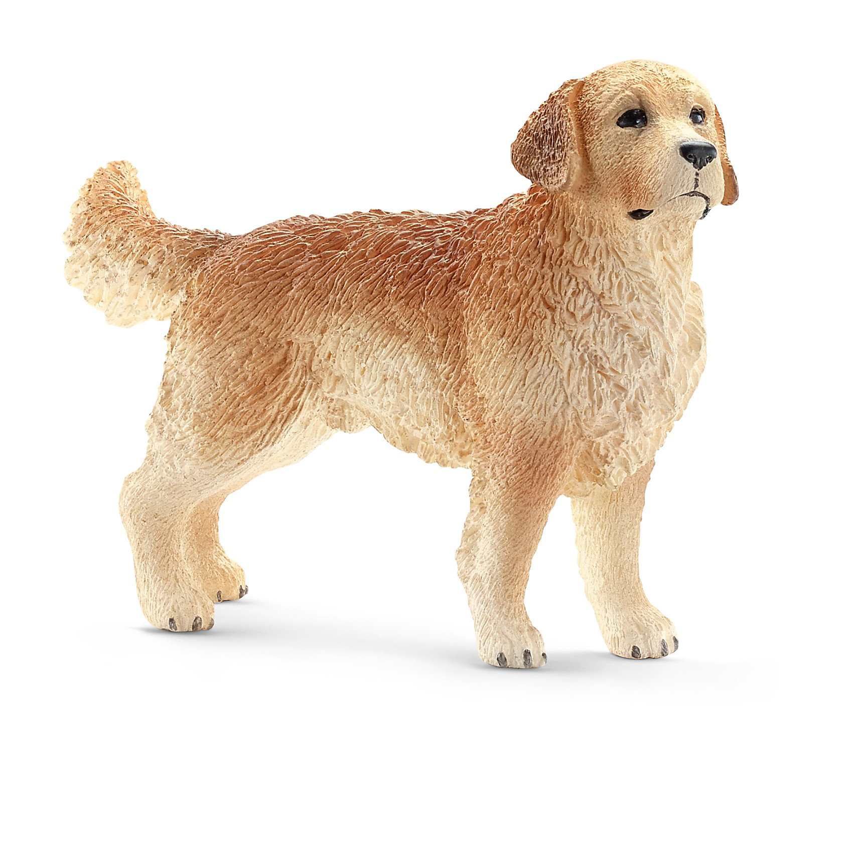 Голден ретривер: кобель, Schleich Голден ретривер: кобель, SchleichМир животных<br>Голден ретривер: кобель, Schleich (Шляйх) - коллекционная и игровая фигурка от немецкого производителя Schleich (Шляйх).<br>Фигурка собаки породы Золотой ретривер светло-коричневого цвета обязательно порадует всех любителей собак, разнообразит игру вашего ребенка и станет прекрасным пополнением его коллекции фигурок от Schleich (Шляйх). Золотой ретривер является одной из самых популярных и любимых многими породой собак. Они прекрасно поддаются дрессировке, очень общительны и дружелюбны. Помимо этого, ретриверы являются прекрасными пловцами и охотниками. Все фигурки Schleich (Шляйх) сделаны из гипоаллергенных высокотехнологичных материалов, раскрашены вручную и не вызывают аллергии у ребенка. Прекрасно выполненные фигурки Schleich (Шляйх) отличаются высочайшим качеством игрушек ручной работы. Все они создаются при постоянном сотрудничестве с Берлинским зоопарком, а потому, являются максимально точной копией настоящих животных. Каждая фигурка разработана с учетом исследований в области педагогики и производится как настоящее произведение для маленьких детских ручек.<br><br>Дополнительная информация:<br><br>-Размер фигурки: 7,9 x 2 x 5,1 см.<br>-Вес фигурки: 9 грамм<br>-Материал: каучуковый пластик<br><br>Голден ретривер: кобель, Schleich (Шляйх) - ваш ребенок будет наслаждаться игрой с новой восхитительной игрушкой.<br><br>Фигурку Голден ретривера: кобеля, Schleich (Шляйх) можно купить в нашем интернет-магазине.<br><br>Ширина мм: 63<br>Глубина мм: 68<br>Высота мм: 28<br>Вес г: 23<br>Возраст от месяцев: 36<br>Возраст до месяцев: 96<br>Пол: Унисекс<br>Возраст: Детский<br>SKU: 3443153