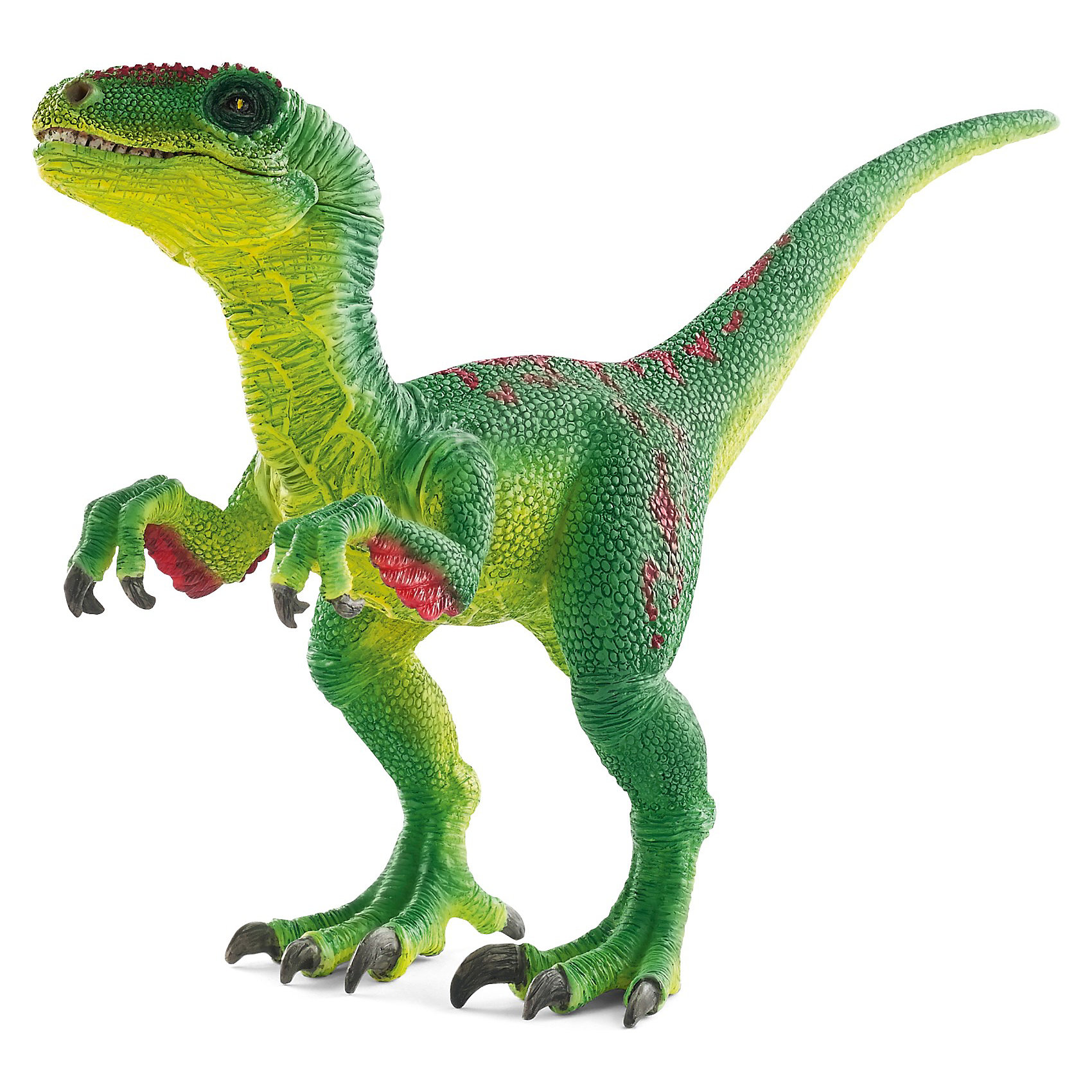 Велоцираптор, Schleich Велоцираптор, SchleichДраконы и динозавры<br>Велоцирапторы - древние хищники, охотившиеся стаями. Эти динозавры обитали на Земле в доисторический период. Быстрый и ловкий велоцираптор не отличался внушительными размерами (всего около 60 см в высоту), однако, у него на обоих ногах имелся большой серповидный коготь длиной до 7.5 см, который помогал ему добывать пищу и обороняться.<br>Эти динозавры могли бегать со скоростью до 65 километров в час, а хвост они использовали для выполнения скоростных маневров. В пасти этого динозавра было до восьмидесяти острых и изогнутых зубов длиною до 2,5 сантиметров. <br>Изящный динозавр зеленого цвета, стоящий на задних лапах, станет достойным пополнением уникальной коллекции фигурок Schleich. У фигурки подвижная нижняя челюсть и передние лапы, что позволяет устраивать увлекательные игры с забавными существами.<br><br>Дополнительная информация:<br><br>- Размер: 5,1 x 15,7 x 10,2 см<br>- Материал: каучуковый пластик<br><br>Фигурку Велоцираптора, Schleich (Шляйх) можно купить в нашем магазине.<br><br>Ширина мм: 184<br>Глубина мм: 111<br>Высота мм: 50<br>Вес г: 67<br>Возраст от месяцев: 36<br>Возраст до месяцев: 96<br>Пол: Мужской<br>Возраст: Детский<br>SKU: 3539484