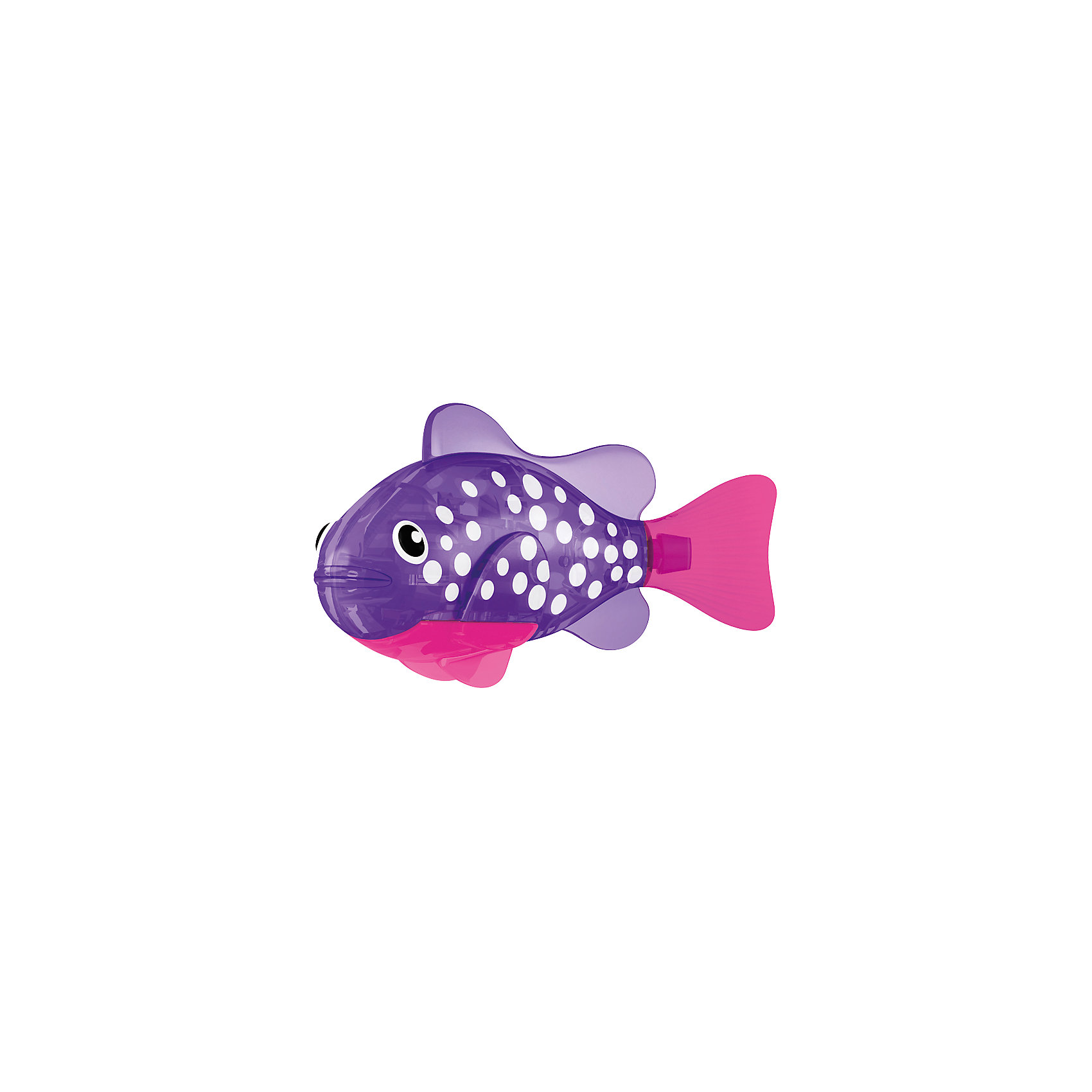 РобоРыбка светодиодная Биоптик, RoboFish РобоРыбка светодиодная Биоптик, RoboFishРоборыбки и русалки<br>РобоРыбка светодиодная Биоптик, RoboFish (РобоФиш) - это инновационная рыбка, которая при соприкосновении с водой начинает не только плавать как живая, но и светиться. <br><br>Симпатичная РобоРыбка с весёлым фиолетовым окрасом и белыми кружками по бокам, как и другие рыбки светящейся серии, оснащается специальным маленьким светодиодом внутри, который красиво светится в темноте. Интересней всего это смотрится тогда, когда в аквариуме будут находиться ещё и другие модели светящихся рыбок. Мягкий силиконовый хвост и электромагнитный мотор помогают рыбкам двигаться в 5 различных направлениях. Игрушка плавает в воде в течение 4-4,5 минут, после чего ее можно вынуть из воды, и снова опустить в воду, чтобы рыбка заработала снова.<br><br>Комплектация: РобоРыбка, 4 батарейки, подставка<br><br>Дополнительная информация:<br><br>-Длина игрушки: около 7 см, высота: 3,5 см <br>-Работает от 2х батареек типа А76 или RL44 (есть в комплекте 4 шт.)<br>-Материалы: силикон, пластмасса<br><br>Роборыбка понравится как детям, так и взрослым. Поместите одну или несколько таких рыбок в аквариум - такое красивое зрелище станет оригинальным подарком друзьям или украшением дома.<br><br>РобоРыбку светодиодную Биоптик, RoboFish (РобоФиш) можно купить в нашем магазине.<br><br>Ширина мм: 60<br>Глубина мм: 200<br>Высота мм: 50<br>Вес г: 90<br>Возраст от месяцев: 60<br>Возраст до месяцев: 144<br>Пол: Унисекс<br>Возраст: Детский<br>SKU: 3544549