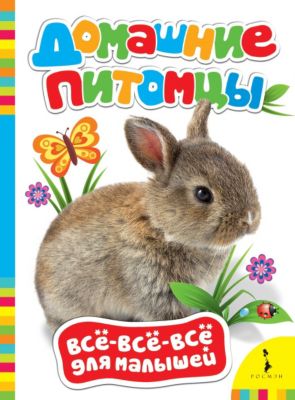 Фото 45. Коляска Купить Акция