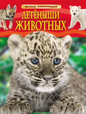 Фото 17. Беговел Навигатор Lady