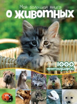 Фото 90. Купить Детскую Коляску Для Кукол В Интернет