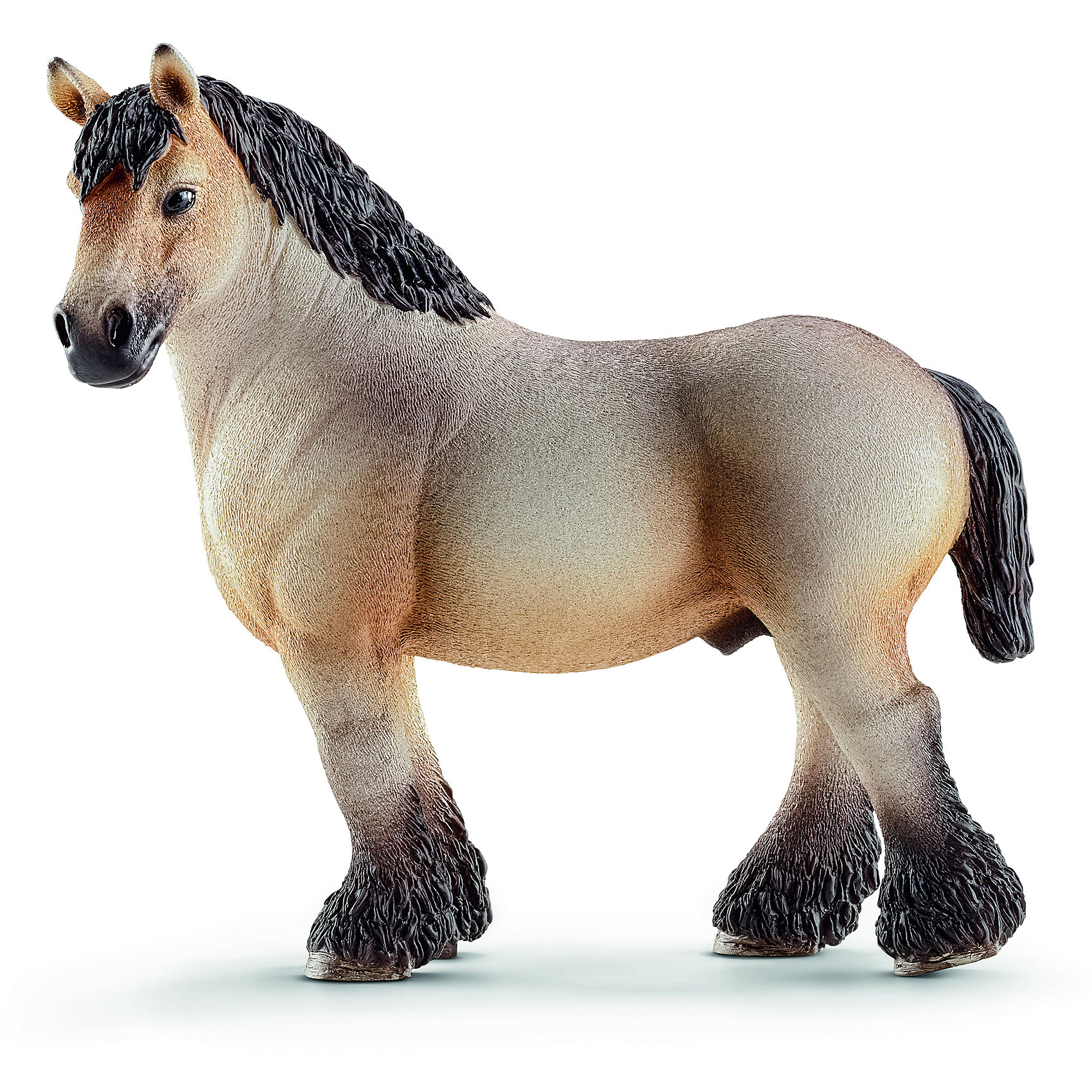 Арденский жеребец, Schleich Арденский жеребец, SchleichМир животных<br>Арденский жеребец, Schleich (Шляйх) – это высококачественная коллекционная и игровая фигурка.<br>Фигурка Арденского жеребца прекрасно разнообразит игру вашего ребенка и станет отличным пополнением коллекции его фигурок животных. Арде?нская — одна из старейших пород тягловых лошадей, центром возникновения которой является область Арденнских гор в Бельгии, Люксембурге и Франции. Лошадь этой породы очень тяжеловесна и вынослива. Их использовали рыцари в своих боях. Эти лошади также использовались Наполеоном при транспортировке артиллерии и грузов. Лошади арденской породы массивного мускулистого телосложения с компактным телом, короткой спиной и короткими крепкими ногами. Голова лошади тяжелая с широким лбом и прямым или слегка выпуклым профилем. <br><br>Прекрасно выполненные фигурки Schleich (Шляйх) являются максимально точной копией настоящих животных и отличаются высочайшим качеством игрушек ручной работы. Каждая фигурка разработана с учетом исследований в области педагогики и производится как настоящее произведение для маленьких детских ручек. Все фигурки Schleich (Шляйх) сделаны из гипоаллергенных высокотехнологичных материалов, раскрашены вручную и не вызывают аллергии у ребенка.<br><br>Дополнительная информация:<br><br>- Размер фигурки: 11,5 x 11,5 x 5,5 см.<br>- Материал: высококачественный каучуковый пластик<br><br>Фигурку Арденского жеребца, Schleich (Шляйх) можно купить в нашем интернет-магазине.<br><br>Ширина мм: 162<br>Глубина мм: 121<br>Высота мм: 58<br>Вес г: 176<br>Возраст от месяцев: 36<br>Возраст до месяцев: 96<br>Пол: Женский<br>Возраст: Детский<br>SKU: 3902503