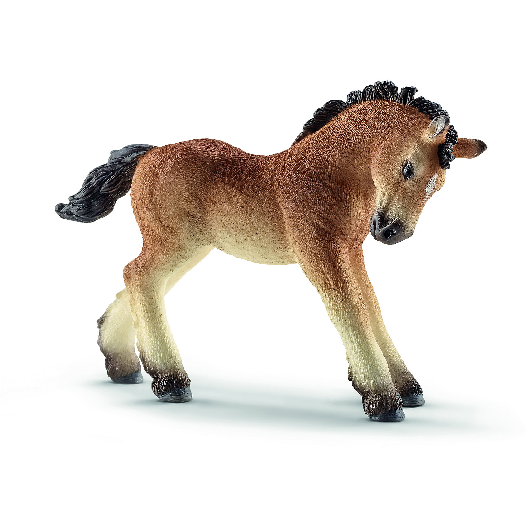 Арденский жеребёнок, Schleich Арденский жеребёнок, SchleichМир животных<br>Арденский жеребёнок, Schleich (Шляйх) – это высококачественная коллекционная и игровая фигурка.<br>Фигурка Арденского жеребенка прекрасно разнообразит игру вашего ребенка и станет отличным пополнением коллекции его фигурок животных. Арде?нская — одна из старейших пород тягловых лошадей, центром возникновения которой является область Арденнских гор в Бельгии, Люксембурге и Франции. Лошадь этой породы очень тяжеловесна и вынослива. Их использовали рыцари в своих боях. Эти лошади также использовались Наполеоном при транспортировке артиллерии и грузов. Лошади арденской породы массивного мускулистого телосложения с компактным телом, короткой спиной и короткими крепкими ногами. Голова лошади тяжелая с широким лбом и прямым или слегка выпуклым профилем. <br><br>Прекрасно выполненные фигурки Schleich (Шляйх) являются максимально точной копией настоящих животных и отличаются высочайшим качеством игрушек ручной работы. Каждая фигурка разработана с учетом исследований в области педагогики и производится как настоящее произведение для маленьких детских ручек. Все фигурки Schleich (Шляйх) сделаны из гипоаллергенных высокотехнологичных материалов, раскрашены вручную и не вызывают аллергии у ребенка.<br><br>Дополнительная информация:<br><br>- Размер фигурки: 7 x 9,1 x 2,2 см.<br>- Материал: высококачественный каучуковый пластик<br><br>Фигурку Арденского жеребёнка, Schleich (Шляйх) можно купить в нашем интернет-магазине.<br><br>Ширина мм: 124<br>Глубина мм: 86<br>Высота мм: 32<br>Вес г: 38<br>Возраст от месяцев: 36<br>Возраст до месяцев: 96<br>Пол: Женский<br>Возраст: Детский<br>SKU: 3902504