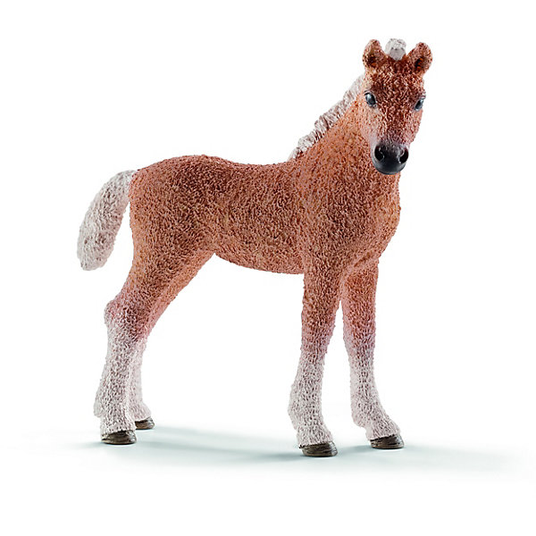 Башкирский кудрявый жеребёнок, Schleich Башкирский кудрявый жеребёнок, SchleichМир животных<br>Башкирский кудрявый жеребёнок, Schleich (Шляйх) – это высококачественная коллекционная и игровая фигурка.<br>Фигурка Башкирского кудрявого жеребёнка прекрасно разнообразит игру вашего ребенка и станет отличным пополнением коллекции его фигурок животных. Лошадь этой породы была выведена в Башкортостане, она прекрасно приспособлена к очень низким температурам и может широко использоваться зимой. Лошадка не замерзает, благодаря своей необычной вьющейся шерсти. Шерсть этих лошадей широко используется и славится своей гипоаллергенностью и прекрасными качествами. <br><br>Прекрасно выполненные фигурки Schleich (Шляйх) являются максимально точной копией настоящих животных и отличаются высочайшим качеством игрушек ручной работы. Каждая фигурка разработана с учетом исследований в области педагогики и производится как настоящее произведение для маленьких детских ручек. Все фигурки Schleich (Шляйх) сделаны из гипоаллергенных высокотехнологичных материалов, раскрашены вручную и не вызывают аллергии у ребенка.<br><br>Дополнительная информация:<br><br>- Размер фигурки: 8,2 x 7,6 x 3 см.<br>- Материал: высококачественный каучуковый пластик<br><br>Фигурку Башкирского кудрявого жеребёнка, Schleich (Шляйх) можно купить в нашем интернет-магазине.<br><br>Ширина мм: 108<br>Глубина мм: 78<br>Высота мм: 27<br>Вес г: 37<br>Возраст от месяцев: 36<br>Возраст до месяцев: 96<br>Пол: Женский<br>Возраст: Детский<br>SKU: 3902506
