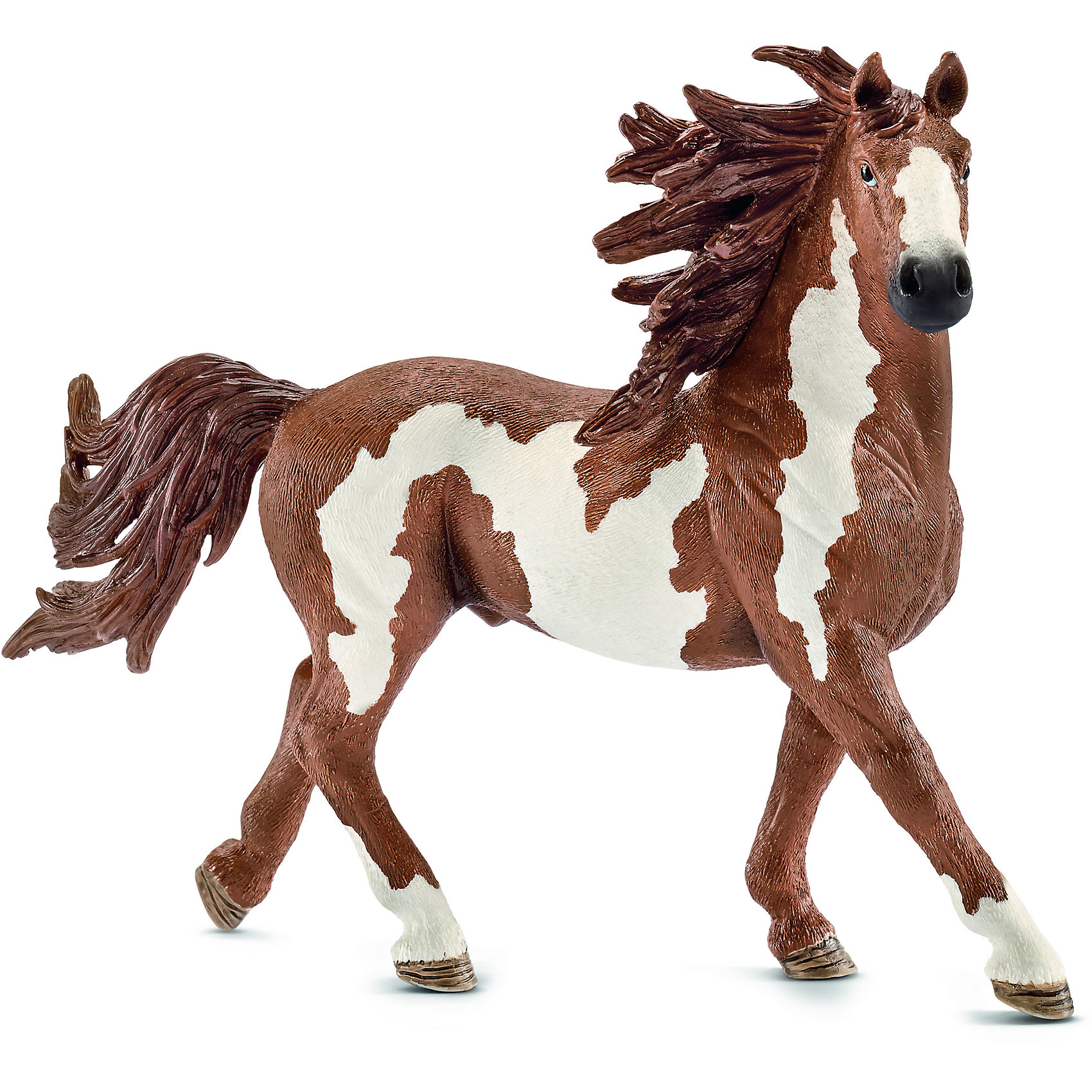 Жеребец Пинто, Schleich Жеребец Пинто, SchleichЖеребец Пинто, Schleich (Шляйх) – это высококачественная коллекционная и игровая фигурка.<br>Фигурка жеребца Пинто прекрасно разнообразит игру вашего ребенка и станет отличным пополнением коллекции его фигурок животных. Название породы пошло от испанского слова pintado - окрашенный. Изображения пегой лошади встречаются даже в наскальной живописи. Попав на американский континент, лошади очень понравились коренному населению - индейцам, за естественный камуфляжный окрас. Особенно полюбили их каманчи, и пинто надолго стали символом Дикого Запада. Получается, что происхождение лошадей достаточно туманно, но вот как порода, пинто зарегистрирована в США. <br><br>Прекрасно выполненные фигурки Schleich (Шляйх) являются максимально точной копией настоящих животных и отличаются высочайшим качеством игрушек ручной работы. Каждая фигурка разработана с учетом исследований в области педагогики и производится как настоящее произведение для маленьких детских ручек. Все фигурки Schleich (Шляйх) сделаны из гипоаллергенных высокотехнологичных материалов, раскрашены вручную и не вызывают аллергии у ребенка.<br><br>Дополнительная информация:<br><br>- Размер фигурки: 10,5 x 16 x 4 см.<br>- Материал: высококачественный каучуковый пластик<br><br>Фигурку Жеребца Пинто, Schleich (Шляйх) можно купить в нашем интернет-магазине.<br><br>Ширина мм: 172<br>Глубина мм: 134<br>Высота мм: 45<br>Вес г: 130<br>Возраст от месяцев: 36<br>Возраст до месяцев: 96<br>Пол: Женский<br>Возраст: Детский<br>SKU: 3902513
