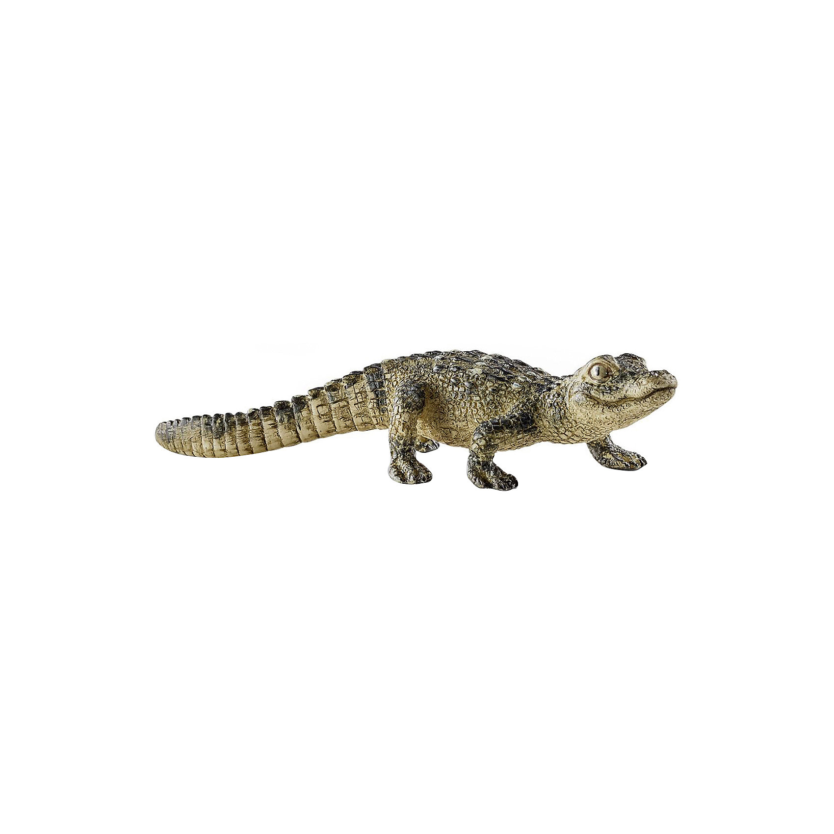Детёныш крокодила, Schleich Детёныш крокодила, SchleichМир животных<br>Детёныш крокодила, Schleich (Шляйх) – это высококачественная коллекционная и игровая фигурка.<br>Фигурка Детёныша крокодила прекрасно разнообразит игру вашего ребенка и станет отличным пополнением коллекции его фигурок животных. Самка крокодила откладывает яйца в песок на отмели или зарывает в гнездо из грязи и гниющей листвы. Молодые крокодилы ещё внутри яиц, ко времени вылупления издают квакающие звуки, и мать раскапывает кладку, помогает потомству выбраться и переносит их в своей пасти в водоём. На пол крокодила влияет температура инкубации яиц: выше 32 °С - вылупится самец, от 28 до 30 °С - самка. Вылупившиеся детеныши невелики — всего до 28 см в длину. Самка печется о своем потомстве еще на протяжении двух лет. Подрастающие крокодилы питаются сначала насекомыми, увеличиваясь в размерах, ловят рыб и лягушек, и наконец, достигнув через 10 лет почти 2,5 м в длину, начинают охотиться на более крупных животных. Фигурка детеныша крокодила выполнена в бежево-зеленом цвете. У него длинный хвост и выразительные глаза. <br><br>Прекрасно выполненные фигурки Schleich (Шляйх) являются максимально точной копией настоящих животных и отличаются высочайшим качеством игрушек ручной работы. Каждая фигурка разработана с учетом исследований в области педагогики и производится как настоящее произведение для маленьких детских ручек. Все фигурки Schleich (Шляйх) сделаны из гипоаллергенных высокотехнологичных материалов, раскрашены вручную и не вызывают аллергии у ребенка.<br><br>Дополнительная информация:<br><br>- Размер фигурки: 2 x 8,5 x 2,5 см.<br>- Материал: высококачественный каучуковый пластик<br><br>Фигурку Детёныша крокодила, Schleich (Шляйх) можно купить в нашем интернет-магазине.<br><br>Ширина мм: 81<br>Глубина мм: 32<br>Высота мм: 20<br>Вес г: 7<br>Возраст от месяцев: 36<br>Возраст до месяцев: 96<br>Пол: Унисекс<br>Возраст: Детский<br>SKU: 3902535