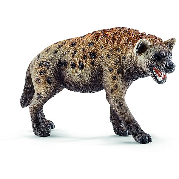 Гиена, Schleich Гиена, SchleichМир животных<br>Гиена, Schleich (Шляйх) – это высококачественная коллекционная и игровая фигурка.<br>Фигурка Гиены прекрасно разнообразит игру вашего ребенка и станет отличным пополнением коллекции его фигурок животных. Пятнистая гиена встречается на большей части Африканского континента. У пятнистой гиены голова напоминает собачью. Морда у нее мощная и широкая. Уши округленные. Хвост лохматый, а длинная грубая шерсть на шее и вдоль спины образует гриву. Гиены имеют чрезвычайно сильные челюсти относительно их размера тела. Спина покатая, задняя часть заметно ниже передней, из-за чего пятнистая гиена передвигается не слишком изящно, но способна развивать скорость до 65 км/час. Конечности четырехпалые, с не втяжными когтями. <br>Прекрасно выполненные фигурки Schleich (Шляйх) являются максимально точной копией настоящих животных и отличаются высочайшим качеством игрушек ручной работы. Каждая фигурка разработана с учетом исследований в области педагогики и производится как настоящее произведение для маленьких детских ручек. Все фигурки Schleich (Шляйх) сделаны из гипоаллергенных высокотехнологичных материалов, раскрашены вручную и не вызывают аллергии у ребенка.<br><br>Дополнительная информация:<br><br>- Размер фигурки: 5,2 х 3,1 х 8,6 см.<br>- Материал: высококачественный каучуковый пластик<br><br>Фигурку Гиены, Schleich (Шляйх) можно купить в нашем интернет-магазине.<br><br>Ширина мм: 92<br>Глубина мм: 55<br>Высота мм: 27<br>Вес г: 37<br>Возраст от месяцев: 36<br>Возраст до месяцев: 96<br>Пол: Унисекс<br>Возраст: Детский<br>SKU: 3902542