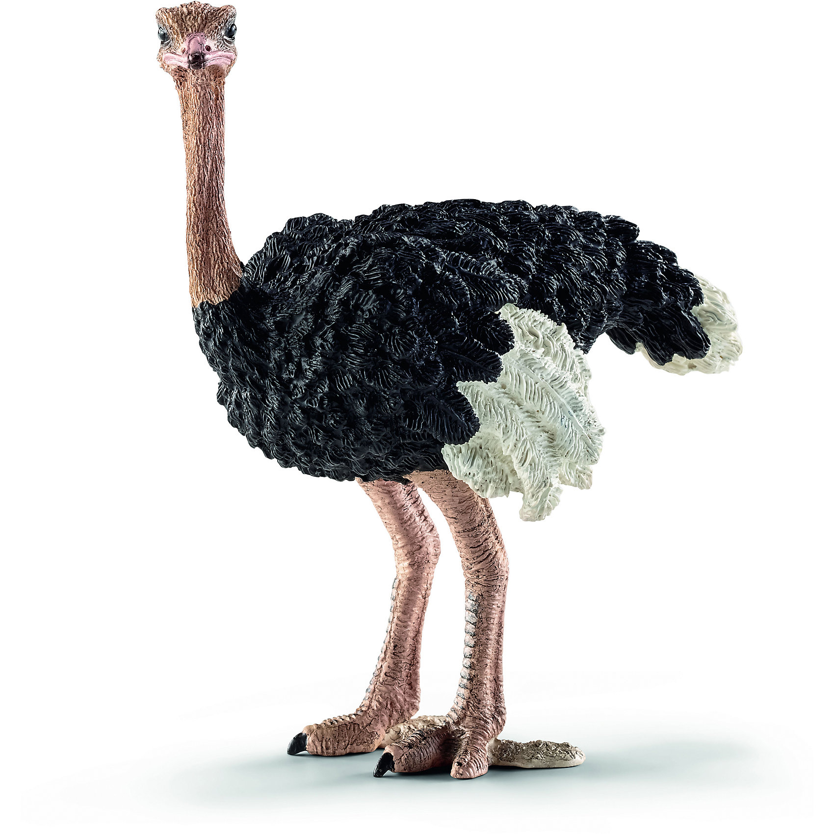 Страус, Schleich Страус, SchleichМир животных<br>Страус, Schleich (Шляйх) – это высококачественная коллекционная и игровая фигурка.<br>Фигурка Страуса компании Schleich (Шляйх) порадует всех любителей животных и птиц, и станет замечательным подарком или уникальным дополнением коллекции миниатюрных игрушек. Страус – самая большая в мире птица, которая обитает преимущественно в Африке и Австралии, но все чаще ее можно встретить во многих зоопарках и фермерских хозяйствах других стран мира. Страус имеет длинную шею с маленькой головой, сильные длинные ноги с острыми когтями. Тело страуса покрыто перьями, но, несмотря на это страус не умеет летать. <br>Прекрасно выполненные фигурки Schleich (Шляйх) являются максимально точной копией настоящих животных и птиц, и отличаются высочайшим качеством игрушек ручной работы. Каждая фигурка разработана с учетом исследований в области педагогики и производится как настоящее произведение для маленьких детских ручек. Все фигурки Schleich (Шляйх) сделаны из гипоаллергенных высокотехнологичных материалов, раскрашены вручную и не вызывают аллергии у ребенка.<br><br>Дополнительная информация:<br><br>- Размер фигурки: 1,2 х 7,7 х 4 см.<br>- Материал: высококачественный каучуковый пластик<br><br>Фигурку Страуса, Schleich (Шляйх) можно купить в нашем интернет-магазине.<br><br>Ширина мм: 132<br>Глубина мм: 88<br>Высота мм: 58<br>Вес г: 50<br>Возраст от месяцев: 36<br>Возраст до месяцев: 96<br>Пол: Унисекс<br>Возраст: Детский<br>SKU: 3902551