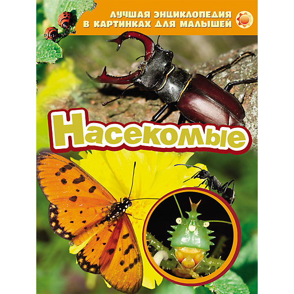 Насекомые, Лучшая энциклопедия в картинках для малышей Насекомые, Лучшая энциклопедия в картинках для малышейЭнциклопедии<br>Энциклопедия в картинках Насекомые, Росмэн - это замечательная, богато иллюстрированная энциклопедия для самых маленьких, которая познакомит Вашего ребенка с удивительным миром насекомых. Он научится узнавать насекомых по их внешнему виду, узнает интересные подробности и факты о них. Книга оформлена красочными иллюстрациями и фотографиями.<br><br>Дополнительная информация:<br><br>- Серия: Лучшая энциклопедия в картинках для малышей.<br>- Иллюстрации: цветные.<br>- Обложка: твердая.<br>- Объем: 24 стр.<br>- Формат: 26,5 x 20,5 х 0,5 см.<br>- Вес: 0,285 кг.<br><br>Энциклопедию в картинках Насекомые, Росмэн можно купить в нашем интернет-магазине.<br><br>Ширина мм: 265<br>Глубина мм: 205<br>Высота мм: 5<br>Вес г: 285<br>Возраст от месяцев: 36<br>Возраст до месяцев: 84<br>Пол: Унисекс<br>Возраст: Детский<br>SKU: 4046781