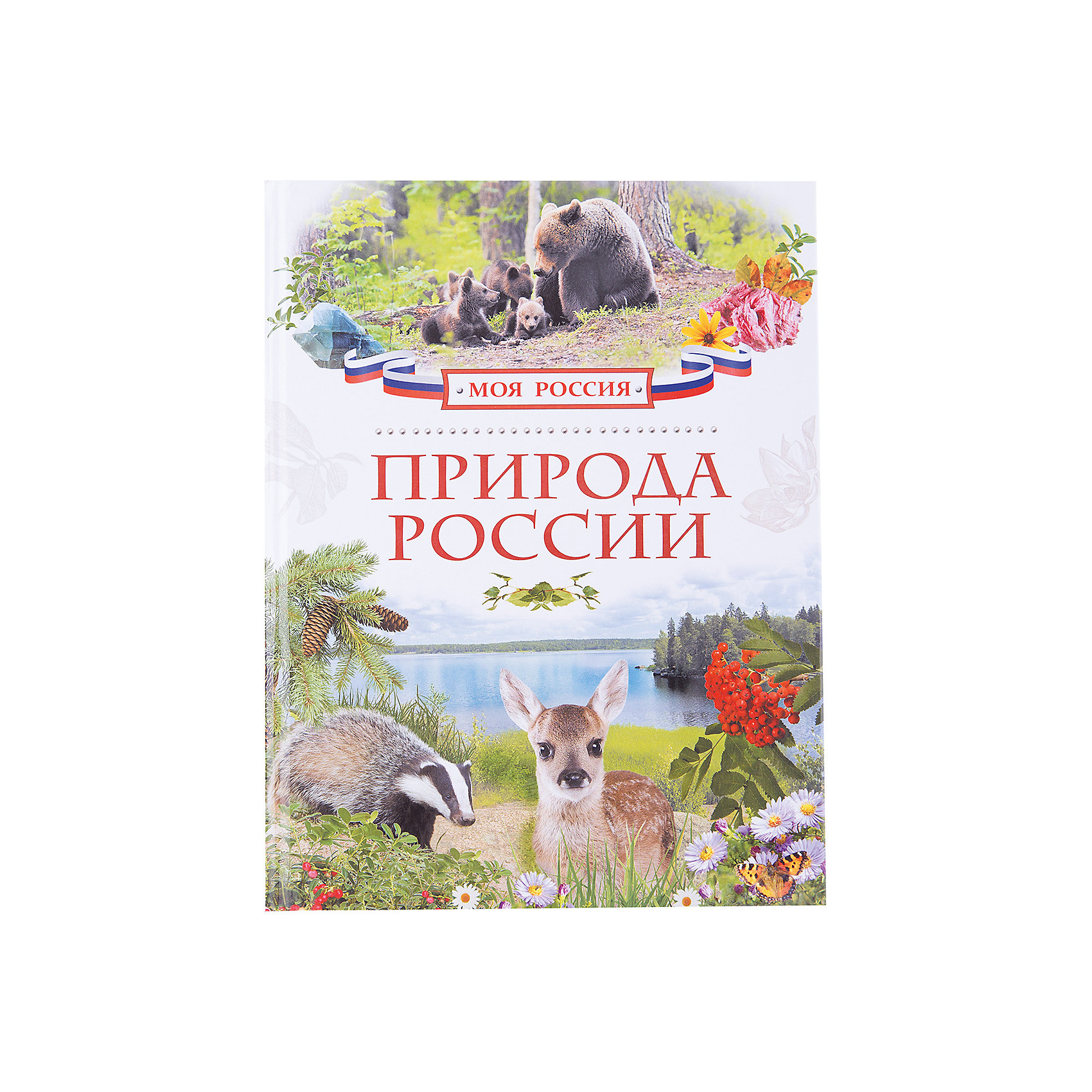 Природа России, Моя Россия Природа России, Моя РоссияЭнциклопедии для школьников<br>Книга Природа России, Росмэн - это замечательная, богато иллюстрированная энциклопедия, которая познакомит Вашего ребенка со всем многообразием природы нашей страны. Книга расскажет юному читателю о природных богатствах и уникальных заповедных местах России, познакомит с морями и океанами, озёрами и реками, горами и вулканами. Дети узнают множество интересных фактов и подробностей об особенностях российского климата и погоды, часовых поясах, уникальных животных и растениях, занесенных в Красную книгу и о проблемах охраны природы. Тексты сопровождаются яркими красочными иллюстрациями.<br><br>Дополнительная информация:<br><br>- Серия: Моя Россия.<br>- Иллюстрации: цветные.<br>- Обложка: твердая.<br>- Объем: 80 стр.<br>- Размер: 26,5 x 20,6 х 0,8 см.<br>- Вес: 0,414 кг.<br><br>Книгу Природа России, Росмэн, можно купить в нашем интернет-магазине.<br><br>Ширина мм: 265<br>Глубина мм: 206<br>Высота мм: 8<br>Вес г: 414<br>Возраст от месяцев: 84<br>Возраст до месяцев: 108<br>Пол: Унисекс<br>Возраст: Детский<br>SKU: 4062814