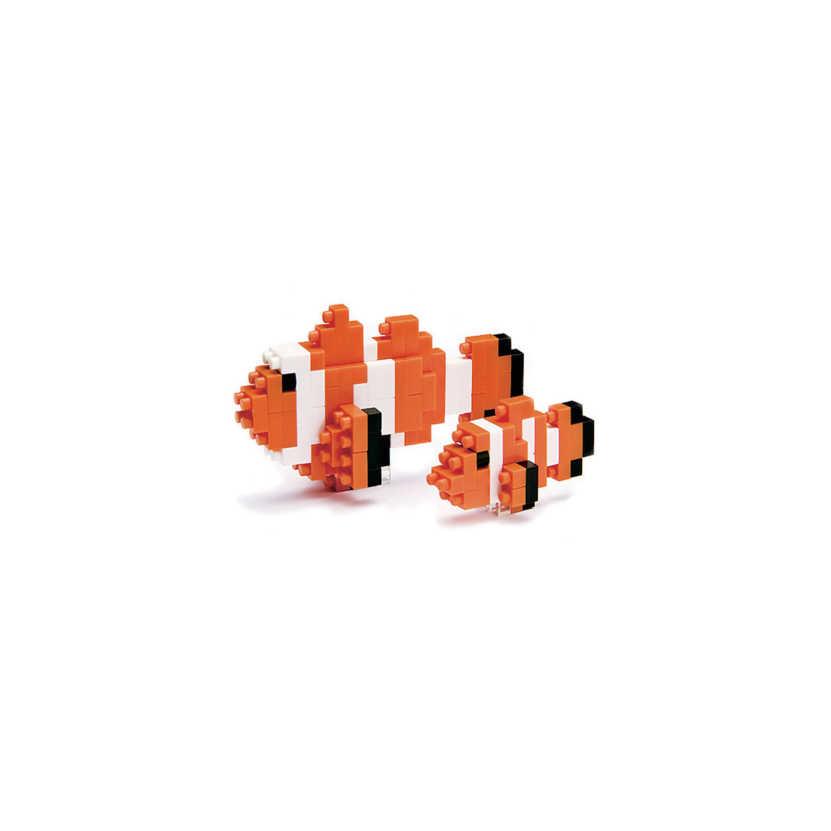 Рыба-клоун, nanoblock Рыба-клоун, nanoblockПластмассовые конструкторы<br>Вопреки названию, рыба-клоун не блещет чувством юмора и знает очень мало шуток. Этот набор конструктора Наноблок позволяет собрать одну большую бело-рыжую рыбу-клоуна, и одну поменьше. <br><br>Дополнительная информация:<br><br>Размер собранной модели: 25х60х40мм<br>Сложность 3 из 5 средняя <br>Комплектация: 110 деталей + запасные, площадка-основание 4х4см, цветная схема сборки.<br>Самая маленькая деталь конструктора - 4х4мм, а классический прямоугольный элемент 2-на-4 точки имеет размер 8х16мм и 5мм высотой.<br><br>Рыба-клоун, nanoblock (наноблок) можно купить в нашем магазине.<br><br>Ширина мм: 100<br>Глубина мм: 20<br>Высота мм: 180<br>Вес г: 50<br>Возраст от месяцев: 108<br>Возраст до месяцев: 1188<br>Пол: Унисекс<br>Возраст: Детский<br>SKU: 4085711
