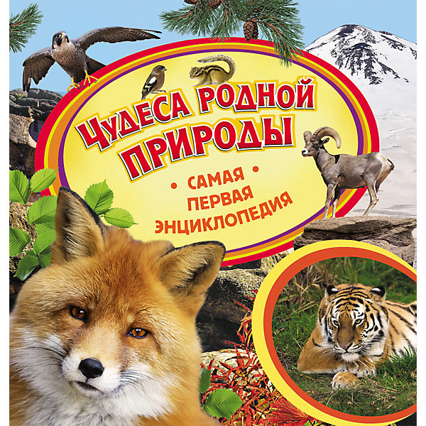 Самая первая энциклопедия Чудеса родной природы Самая первая энциклопедия Чудеса родной природыДетские энциклопедии<br>Серия Самая первая энциклопедия - создана специально для малышей которые хотят знать все обо всем. Книга Чудеса родной природы в яркой познавательной форме расскажет малышам об удивительных местах и редких животных. Ведь на просторах нашей родины столько всего интересного. С помощью этого пособия Вы легко сможете ответить на вопросы, которые интересуют малыша. Энциклопедия рассчитана на самых маленьких читателей, поэтому ее страницы наполнены красочными иллюстрациями и красивыми фотографиями. Книга Чудеса родной природы откроет перед малышом занимательный мир родной природы и ее обитателей!<br><br>Дополнительная информация:<br><br>- Количество страниц: 36;<br>- Познавательная литература для детей;<br>- Красочные иллюстрации;<br>- Размер книги: 22,5 х 22,5 см;<br>- Вес: 297 г<br><br>Книгу Самая первая энциклопедия Чудеса родной природы можно купить в нашем интернет-магазине.<br><br>Внимание! В соответствии с Постановлением Правительства Российской Федерации от 19.01.1998 № 55, непродовольственные товары надлежащего качества нижеследующих категорий не подлежат возврату и обмену: непериодические издания (книги, брошюры, альбомы, картографические и нотные издания, листовые изоиздания, календари, буклеты, открытки, издания, воспроизведенные на технических носителях информации).<br><br>Ширина мм: 225<br>Глубина мм: 225<br>Высота мм: 6<br>Вес г: 297<br>Возраст от месяцев: 36<br>Возраст до месяцев: 60<br>Пол: Унисекс<br>Возраст: Детский<br>SKU: 4161740