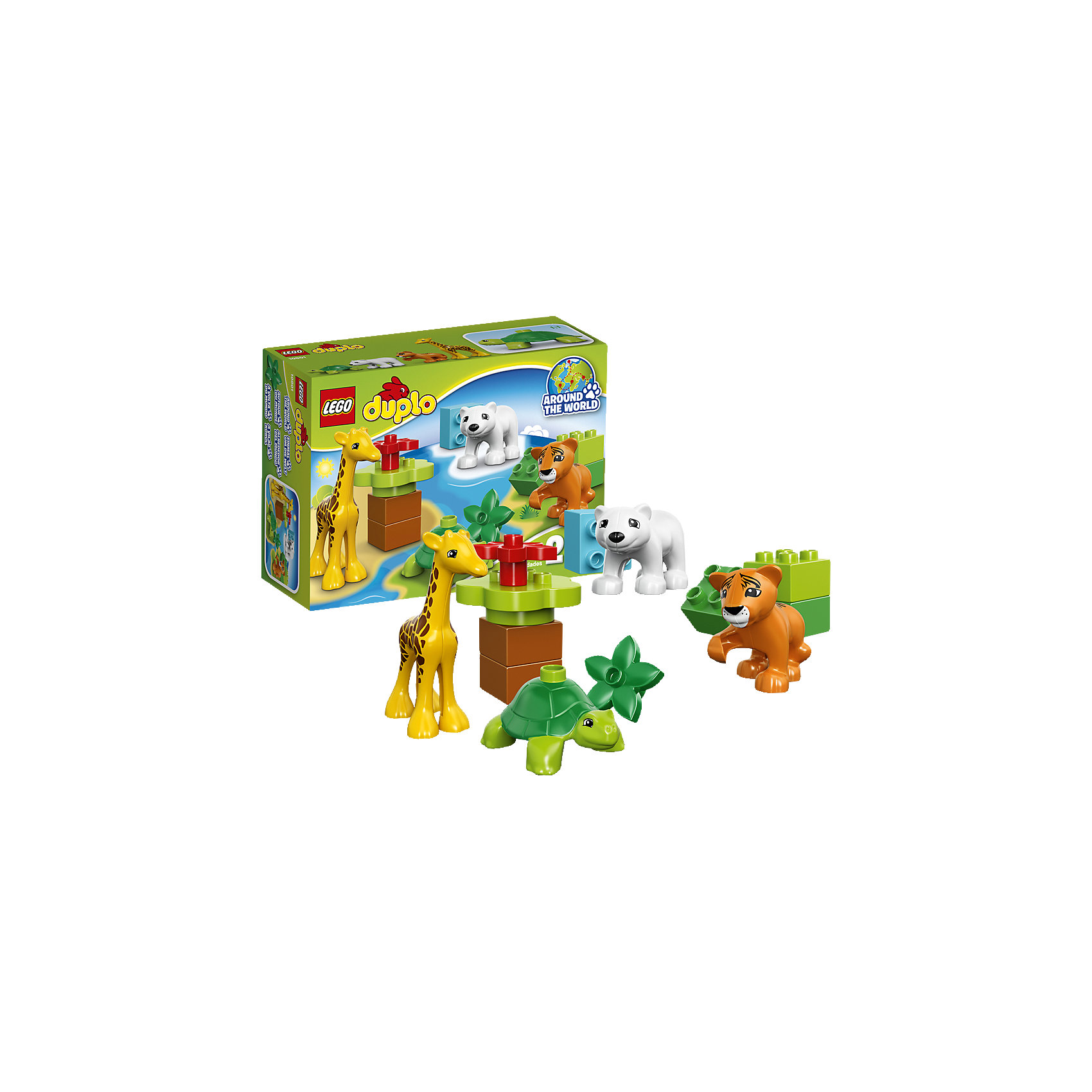 LEGO DUPLO 10801: Вокруг света: малыши LEGO DUPLO 10801: Вокруг света: малышиLEGO DUPLO (ЛЕГО Дупло) 10801: Вокруг света: малыши идеально подходит маленьким любителям животных. Ваш ребенок познакомится с детенышами животных со всех концов света, узнает как они называются, как выглядят и где живут в дикой природе. В наборе Вы найдете тигрёнка из тропических лесов, детёныша жирафа из африканской саванны, полярного медвежонка и детёныша черепахи. Среди деталей имеются также блоки для строительства рельефа.<br><br>ЛЕГО Дупло - серия конструкторов для малышей, которую отличает крупные яркие детали со скругленными безопасными углами и многообразие игровых сюжетов, это и животные, и растения, и машинки, и сказочные персонажи. <br><br>Дополнительная информация:<br><br>- Игра с конструктором LEGO (ЛЕГО) развивает мелкую моторику ребенка, фантазию и воображение, учит его усидчивости и внимательности.<br>- Количество деталей: 13.<br>- Количество минифигур: 4 (тигренок, медвежонок, детеныш жирафа, детеныш черепахи).<br>- Серия: LEGO DUPLO (ЛЕГО Дупло). <br>- Материал: пластик.<br>- Размер упаковки: 19 х 7 х 14 см.<br>- Вес: 0,17 кг.<br><br>Конструктор LEGO DUPLO (ЛЕГО Дупло) 10801: Вокруг света: малыши можно купить в нашем интернет-магазине.<br><br>Ширина мм: 195<br>Глубина мм: 142<br>Высота мм: 73<br>Вес г: 173<br>Возраст от месяцев: 24<br>Возраст до месяцев: 60<br>Пол: Унисекс<br>Возраст: Детский<br>SKU: 4259169