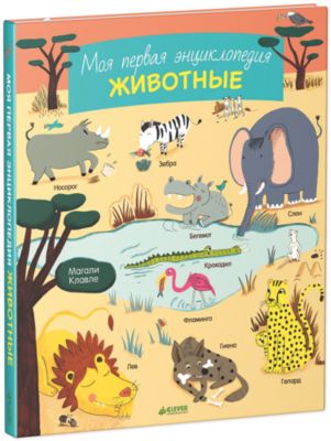 Фото 7. Сапоги Куома Скидки