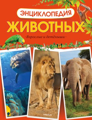 Фото 13. Коляска Для Куклы Купить Белгород