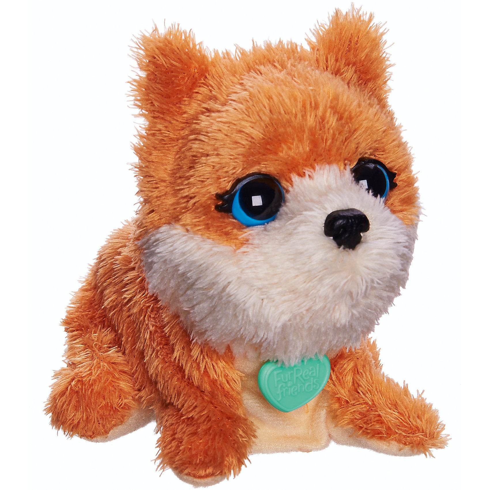Поющие зверята, FurReal Friends, Hasbro, В1622/B0698 Поющие зверята, FurReal Friends, Hasbro, В1622/B0698Очаровательный плюшевый рыжий щенок с большими выразительными глазами обязательно понравится ребенку! Шерстка собачки мягкая и приятная на ощупь. Милый зверек может поворачивать голову, издавать звуки, а также петь веселую песенку. Если познакомить двух зверьков (поставить рядом) они споют песенку вместе. Игрушка выполнена из высококачественных экологичных материалов абсолютно безопасных для детей. <br><br>Дополнительная информация:<br><br>- Материал: плюш, текстиль, пластик.<br>- Размер:<br>- Размер упаковки: 11х 10 х 13 см.<br>- Звуковые эффекты: поет, издает звуки. <br>- Поворачивает голову.<br>- Элемент питания: 2 батарейки, LR44/A76 1.5V (в комплекте).<br><br>Игрушку Поющие зверята, FurReal Friends, Hasbro (Хасбро), можно купить в нашем магазине.<br><br>Ширина мм: 104<br>Глубина мм: 125<br>Высота мм: 113<br>Вес г: 171<br>Возраст от месяцев: 48<br>Возраст до месяцев: 120<br>Пол: Женский<br>Возраст: Детский<br>SKU: 4563916
