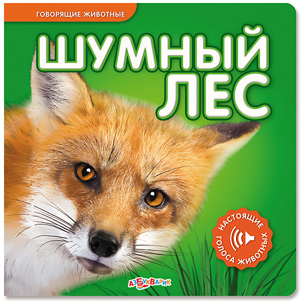 Шумный лес, Говорящие животные Шумный лес, Говорящие животныеМузыкальные книги<br>С помощью этой книжки малыш познакомится с животными леса и сможет послушать их голоса. Книга дополнена красочными иллюстрациями, имеет твердые картонные странички, которые удобно переворачивать даже самым юным читателям. <br><br>Дополнительная информация:<br> <br>- Переплет: картон.<br>- Формат: 18,6х18,6 см.<br>- Количество страниц: 10<br>- Иллюстрации: цветные. <br>- Элемент питания: батарейки AG10/LR54 (в комплекте).<br><br>Книгу Шумный лес можно купить в нашем магазине.<br><br>Ширина мм: 185<br>Глубина мм: 150<br>Высота мм: 20<br>Вес г: 346<br>Возраст от месяцев: 12<br>Возраст до месяцев: 36<br>Пол: Унисекс<br>Возраст: Детский<br>SKU: 4603689