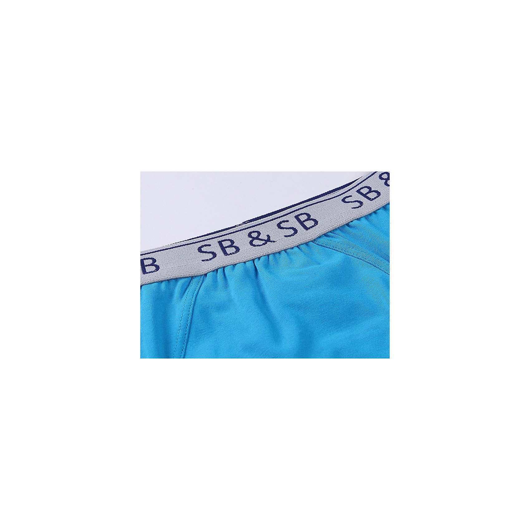 Трусы (2 шт) для мальчика Sweet Berry от myToys Трусы (2 шт) для мальчика Sweet Berry от myToys