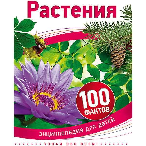 Энциклопедия 100 фактов Растения Энциклопедия 100 фактов РастенияДетские энциклопедии<br>Растения сделали нашу планету обитаемой и превратили ее в чудесный дом для различных животных и миллиардов людей. Эта книга рассказывает об удивительном растительном мире. Читатель узнает, почему некоторые цветы отвратительно пахнут, какие растения не прочь закусить насекомыми, что запасают кактусы в толстых стеблях, какое растение может вырасти на 30 сантиметров за один день, где родина дождевых тропических лесов и как растения выживают в сложных природных условиях. Издание проиллюстрировано замечательными фотографиями и рисунками.<br><br>Ширина мм: 222<br>Глубина мм: 168<br>Высота мм: 7<br>Вес г: 202<br>Возраст от месяцев: 72<br>Возраст до месяцев: 144<br>Пол: Унисекс<br>Возраст: Детский<br>SKU: 4637415