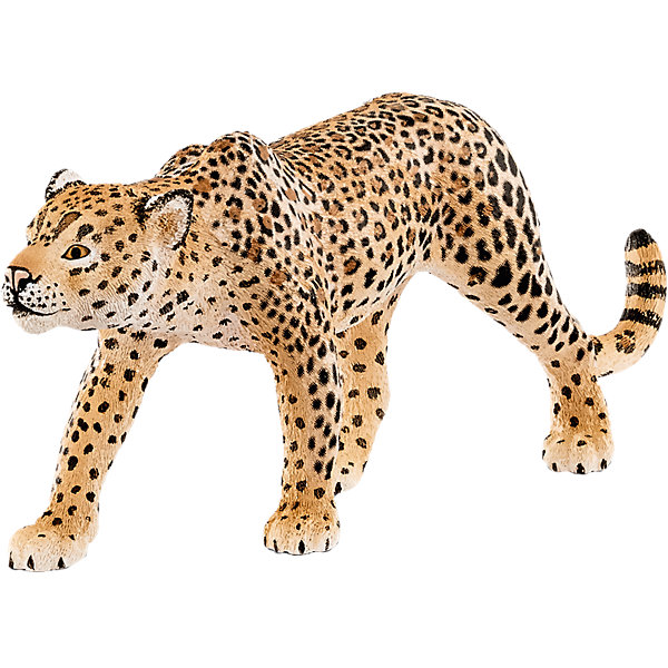 Леопард, Schleich Леопард, SchleichМир животных<br>Леопард, Schleich – для всех любителей реалистичных фигурок.<br>Отличное дополнение в коллекцию. Красивые качественные фигурки в точности повторяют настоящих животных. Сделаны они из безопасного и не токсичного материала, который не вызывает аллергию. Краски не тускнеют и не стираются от длительной и активной игры. Грозный хищник леопард однозначно порадует вашего ребенка.<br><br>Дополнительная информация:<br><br>- возраст: от 3 лет<br>- материал: каучук, пластик<br>- размер: 12 х 2.5 х 5 см<br>- страна: Германия<br><br>Леопард, Schleich можно купить в нашем интернет магазине.<br><br>Ширина мм: 144<br>Глубина мм: 86<br>Высота мм: 43<br>Вес г: 45<br>Возраст от месяцев: 36<br>Возраст до месяцев: 96<br>Пол: Унисекс<br>Возраст: Детский<br>SKU: 4662505