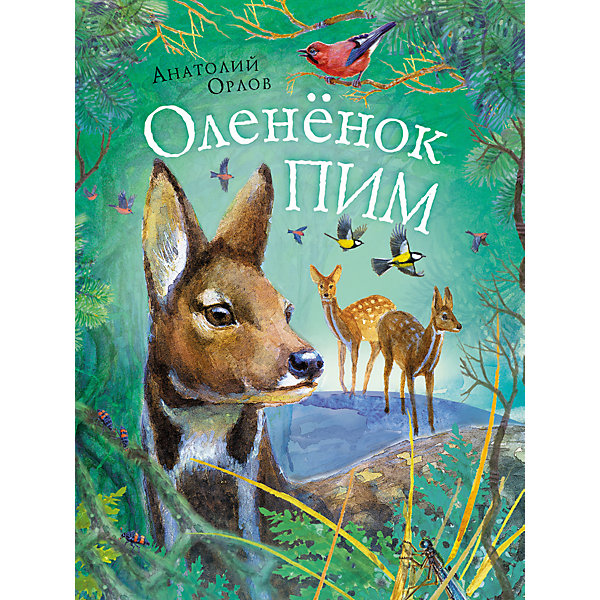 Оленёнок Пим, А. Орлов Оленёнок Пим, А. ОрловРассказы<br>Повесть А. М. Орлова Олененок Пим рассказывает о кабарге - самом маленьком в России олене, который занесен в Красную книгу. Юные читатели узнают о счастливом рождении и нелегкой жизни олененка, о его радостях и огорчениях, друзьях и врагах. И о том, почему его надо охранять. Удивительно поэтичное повествование, написанное простым, красивым языком, познакомит детей с образом жизни и повадками кабарги.<br><br>Ширина мм: 263<br>Глубина мм: 202<br>Высота мм: 7<br>Вес г: 317<br>Возраст от месяцев: 60<br>Возраст до месяцев: 2147483647<br>Пол: Унисекс<br>Возраст: Детский<br>SKU: 4720532