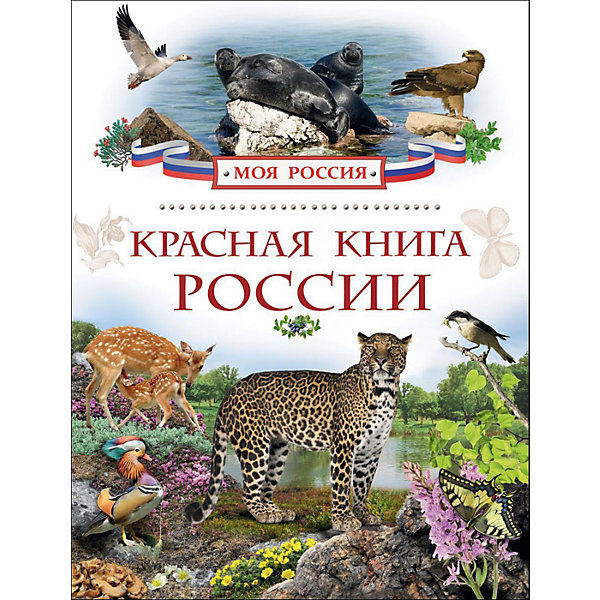 Красная книга России, Моя Россия Красная книга России, Моя РоссияЭнциклопедии<br>Красная книга России непременно заинтересует всех юных любителей природы и станет достойным пополнением домашней детской библиотеки. Нашу планету населяют самые разные виды живых организмов. Те из них, что попадают под угрозу исчезновения, заносятся в Красную<br>книгу. Такие виды животных и растений подлежат особой охране. Ученые изучают причины уменьшения их численности, принимают меры по воспроизводству и рациональному использованию редких видов. Данное издание посвящено животным, растениям, грибам и лишайникам<br>Красной книги России. Тексты сопровождаются яркими иллюстрациями и фотографиями.<br><br><br>Дополнительная информация:<br><br>- Серия: Моя Россия.<br>- Обложка: твердая.<br>- Иллюстрации: цветные.<br>- Объем: 80 стр.<br>- Размер: 26,5 x 1 x 20 см.<br>- Вес: 0,413 кг.<br><br>Красную книгу России, Росмэн, можно купить в нашем интернет-магазине.<br><br>Ширина мм: 265<br>Глубина мм: 200<br>Высота мм: 10<br>Вес г: 413<br>Возраст от месяцев: 84<br>Возраст до месяцев: 2147483647<br>Пол: Унисекс<br>Возраст: Детский<br>SKU: 4720584
