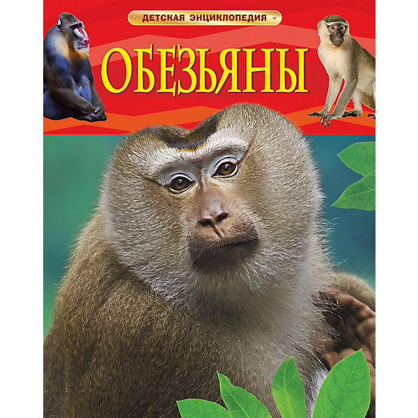 Детская энциклопедия Обезьяны Детская энциклопедия ОбезьяныДетские энциклопедии<br>Детская энциклопедия Обезьяны непременно заинтересует всех юных любителей природы и станет достойным пополнением домашней детской библиотеки. Книга расскажет ребенку о полном разнообразия мире обезьян, удивительных животных, похожих на людей. В животном мире<br>у обезьян особое место. Вместе с полуобезьянами и человеком они входят в единый отряд приматов. Вы узнаете о местах обитания, образе жизни и повадках орангутангов, горилл, шимпанзе, капуцинов, игрунок и других обезьян. Тексты сопровождаются яркими иллюстрациями и фотографиями.<br><br><br>Дополнительная информация:<br><br>- Серия: Детская энциклопедия.<br>- Обложка: твердая.<br>- Иллюстрации: цветные.<br>- Объем: 48 стр.<br>- Размер: 26,5 x 0,7 x 20,5 см.<br>- Вес: 0,335 кг.<br><br>Детскую энциклопедию Обезьяны, Росмэн, можно купить в нашем интернет-магазине.<br><br>Ширина мм: 263<br>Глубина мм: 200<br>Высота мм: 10<br>Вес г: 315<br>Возраст от месяцев: 84<br>Возраст до месяцев: 2147483647<br>Пол: Унисекс<br>Возраст: Детский<br>SKU: 4720594