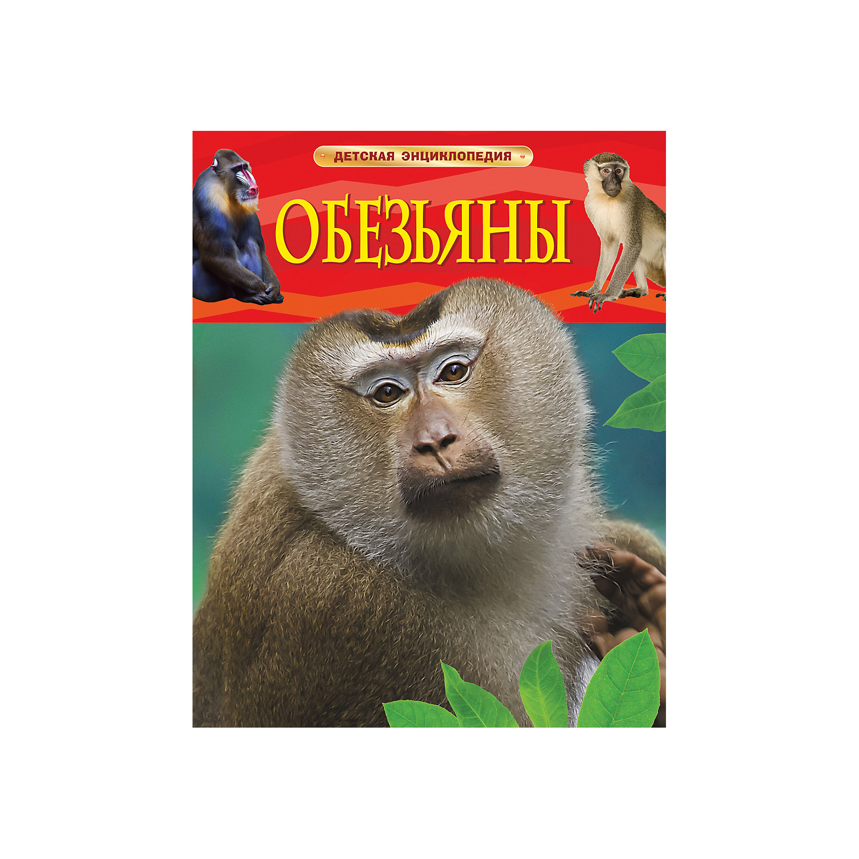 Детская энциклопедия Обезьяны Детская энциклопедия ОбезьяныЭнциклопедии о животных<br>Детская энциклопедия Обезьяны непременно заинтересует всех юных любителей природы и станет достойным пополнением домашней детской библиотеки. Книга расскажет ребенку о полном разнообразия мире обезьян, удивительных животных, похожих на людей. В животном мире<br>у обезьян особое место. Вместе с полуобезьянами и человеком они входят в единый отряд приматов. Вы узнаете о местах обитания, образе жизни и повадках орангутангов, горилл, шимпанзе, капуцинов, игрунок и других обезьян. Тексты сопровождаются яркими иллюстрациями и фотографиями.<br><br><br>Дополнительная информация:<br><br>- Серия: Детская энциклопедия.<br>- Обложка: твердая.<br>- Иллюстрации: цветные.<br>- Объем: 48 стр.<br>- Размер: 26,5 x 0,7 x 20,5 см.<br>- Вес: 0,335 кг.<br><br>Детскую энциклопедию Обезьяны, Росмэн, можно купить в нашем интернет-магазине.<br><br>Ширина мм: 263<br>Глубина мм: 200<br>Высота мм: 10<br>Вес г: 315<br>Возраст от месяцев: 84<br>Возраст до месяцев: 2147483647<br>Пол: Унисекс<br>Возраст: Детский<br>SKU: 4720594