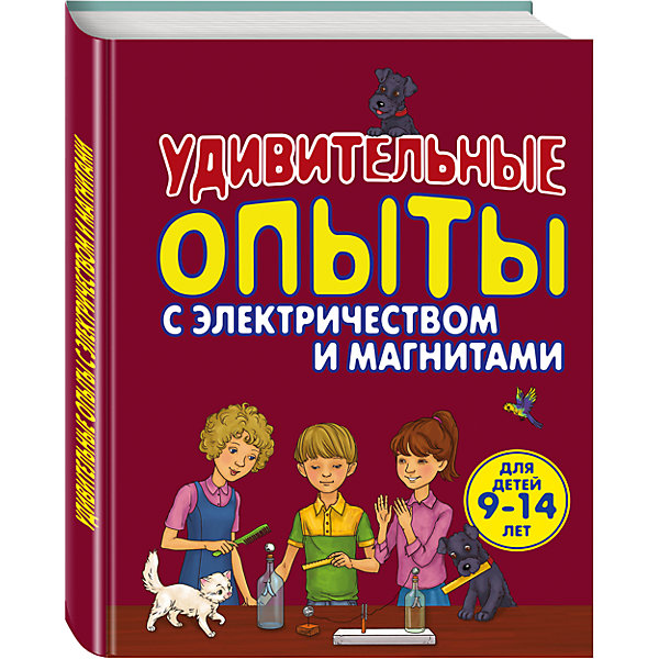 Удивительные опыты с электричеством и магнитами Удивительные опыты с электричеством и магнитамиДетские энциклопедии<br>Книга в интересной и увлекательной форме сблизит любознательных ребят с невероятными процессами и явлениями из области теплоты и электромагнетизма. В энциклопедии все опыты и эксперименты имеют пошаговое описание с иллюстрациями и интересным объяснением. Опыты ребенок может выполнять сам, с друзьями или под присмотром взрослых. Книга адресована детям 8-12 лет, которые хотят открыть для себя захватывающий и интересный мир электромагнетизма и теплоты.<br><br>Дополнительная информация:<br><br>- год выпуска: 2015<br>- количество страниц: 80<br>- формат: 28* 2.1*1 см. <br>- переплёт: твердый переплет<br>- возраст: от 9 до 11 лет<br>- вес: 454 гр.<br><br>Удивительные опыты с электричеством и магнитами можно купить в нашем интернет - магазине.<br><br>Ширина мм: 280<br>Глубина мм: 210<br>Высота мм: 13<br>Вес г: 454<br>Возраст от месяцев: 72<br>Возраст до месяцев: 168<br>Пол: Унисекс<br>Возраст: Детский<br>SKU: 4753397