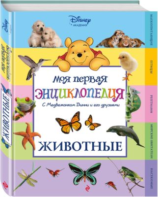 Фото 35. Коляска Dragon Baby 2 В 1 Купить
