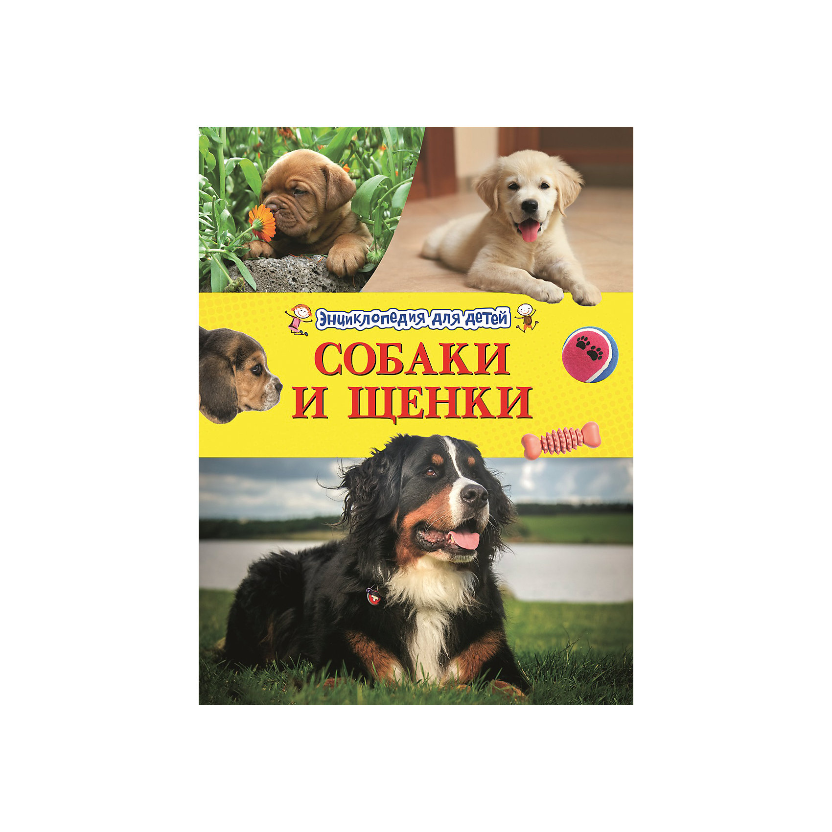 Энциклопедия для детей Собаки и щенки Энциклопедия для детей Собаки и щенкиЭнциклопедии о животных<br>Благодаря этой замечательной книге, ваш ребенок узнает много нового о собаках - самых любимых и популярных домашних животных, о дружбе человека и собаки и интересных фактах связанных с этими животными. Кроме того, читая эту увлекательную книгу, дети расширят свой кругозор и, конечно, получат массу положительных эмоций. <br>Издание оформлено красочными иллюстрациями и фотографиями - прекрасный вариант для подарка на любой праздник! <br><br>Дополнительная информация:<br><br>- Переплет: твердый.<br>- Количество страниц: 48.<br>- Иллюстрации: цветные. <br>- Формат: 26,5х20,5 см. <br><br>Энциклопедию для детей Собаки и щенки можно купить в нашем магазине.<br><br>Ширина мм: 265<br>Глубина мм: 205<br>Высота мм: 7<br>Вес г: 337<br>Возраст от месяцев: 60<br>Возраст до месяцев: 144<br>Пол: Унисекс<br>Возраст: Детский<br>SKU: 4756091
